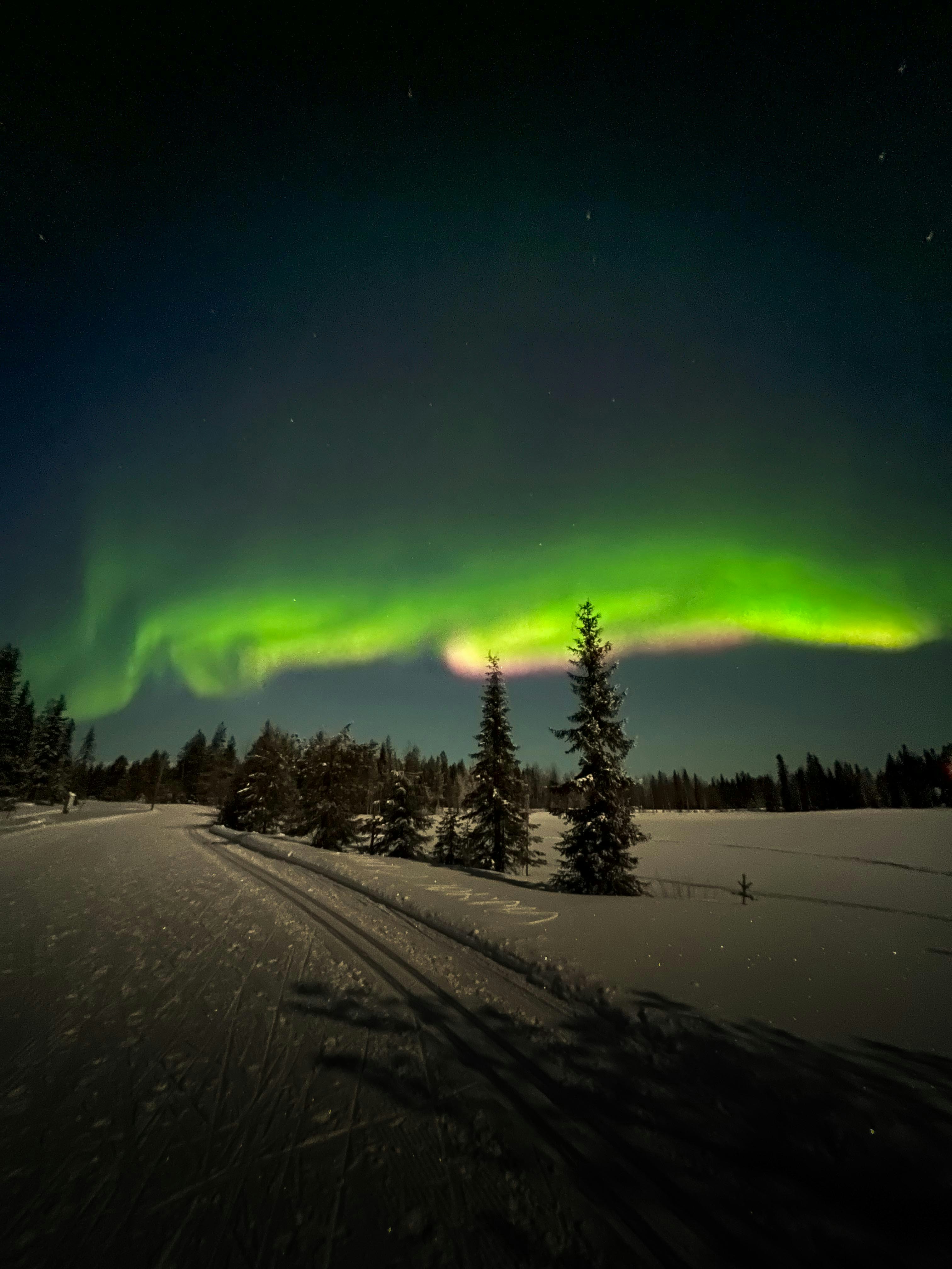 Photo by _piscolino_