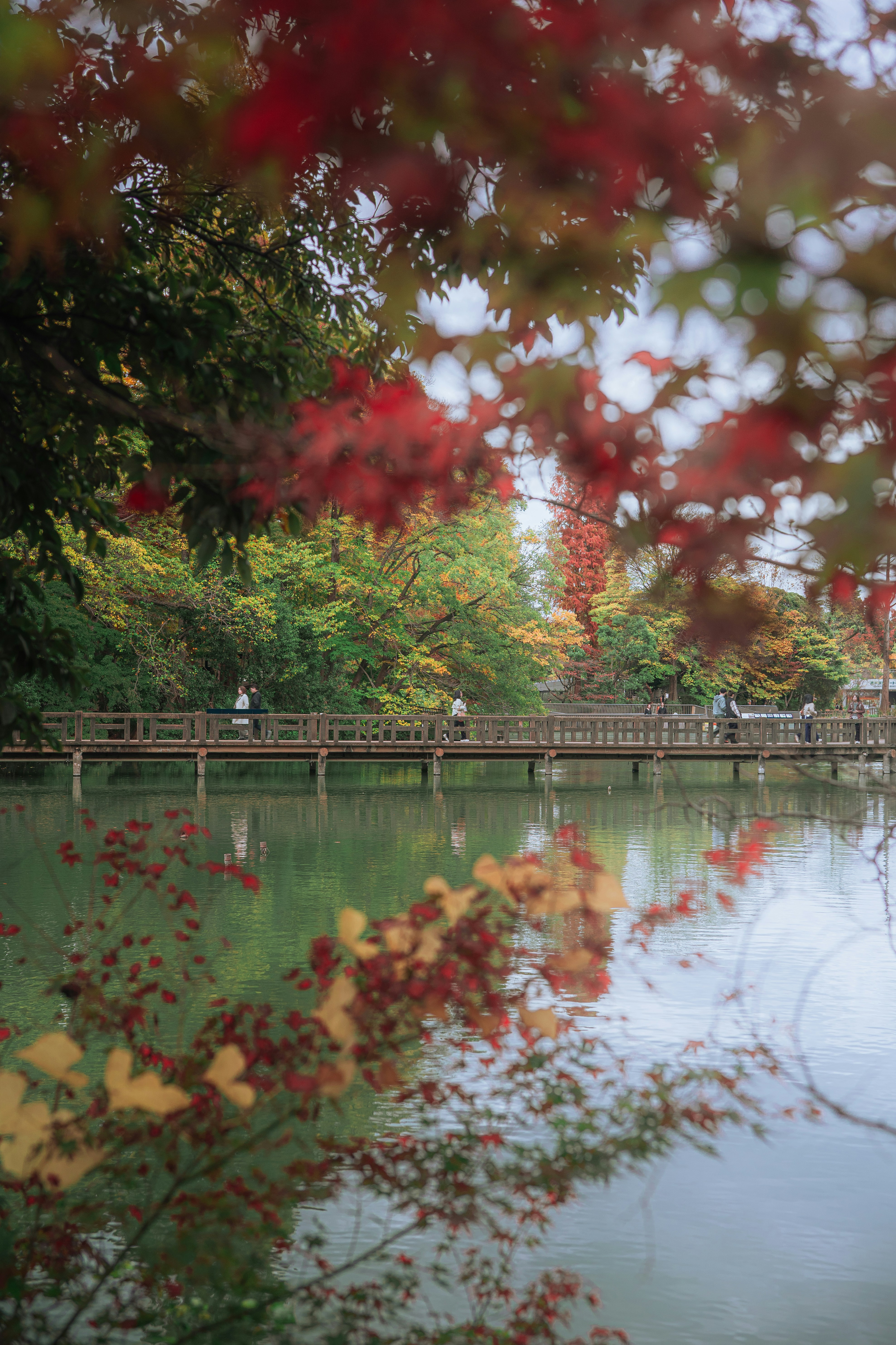 Photo by ryunosuke_kikuno