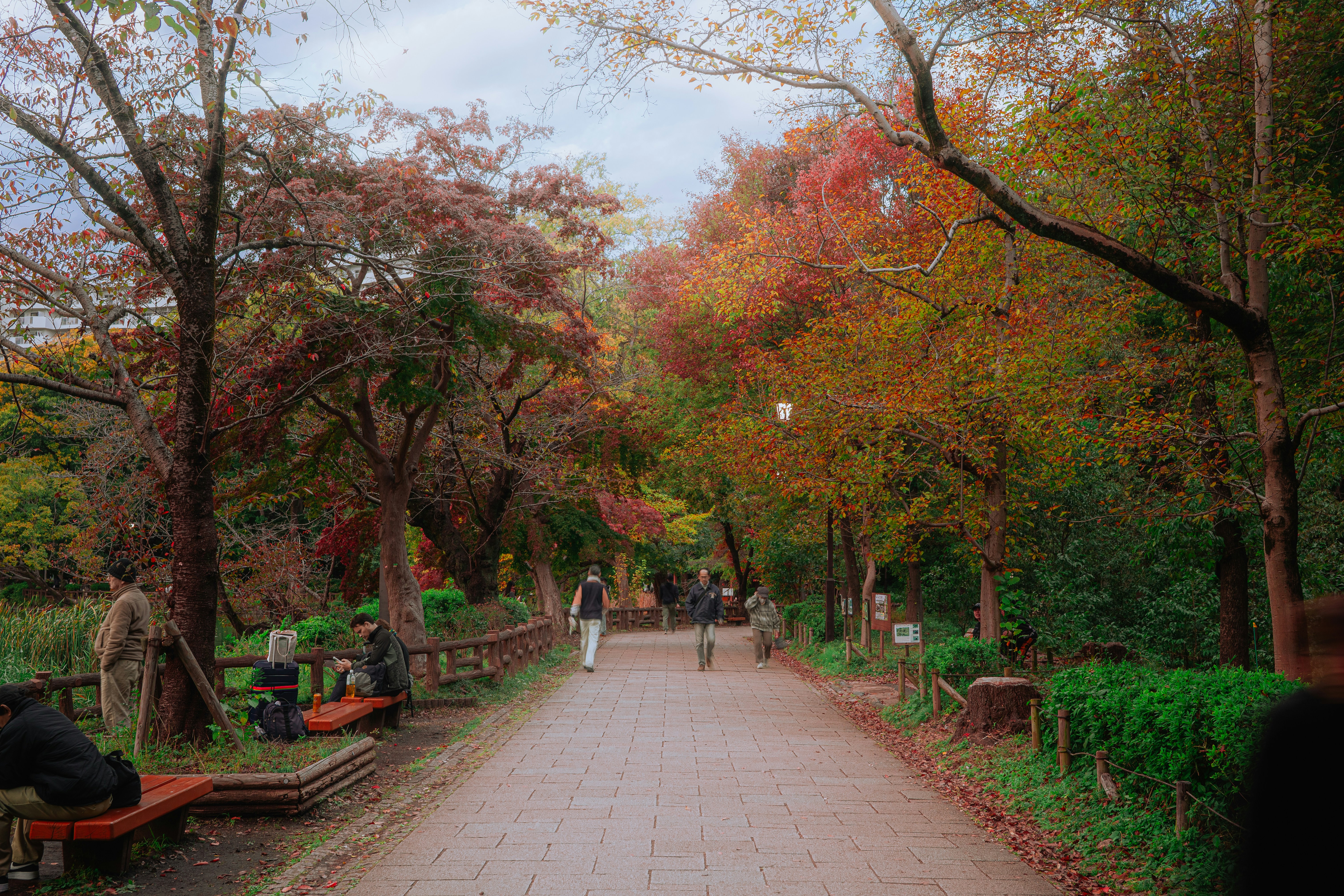 Photo by ryunosuke_kikuno