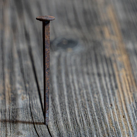 A rusty nail stands upright on a wooden surface.