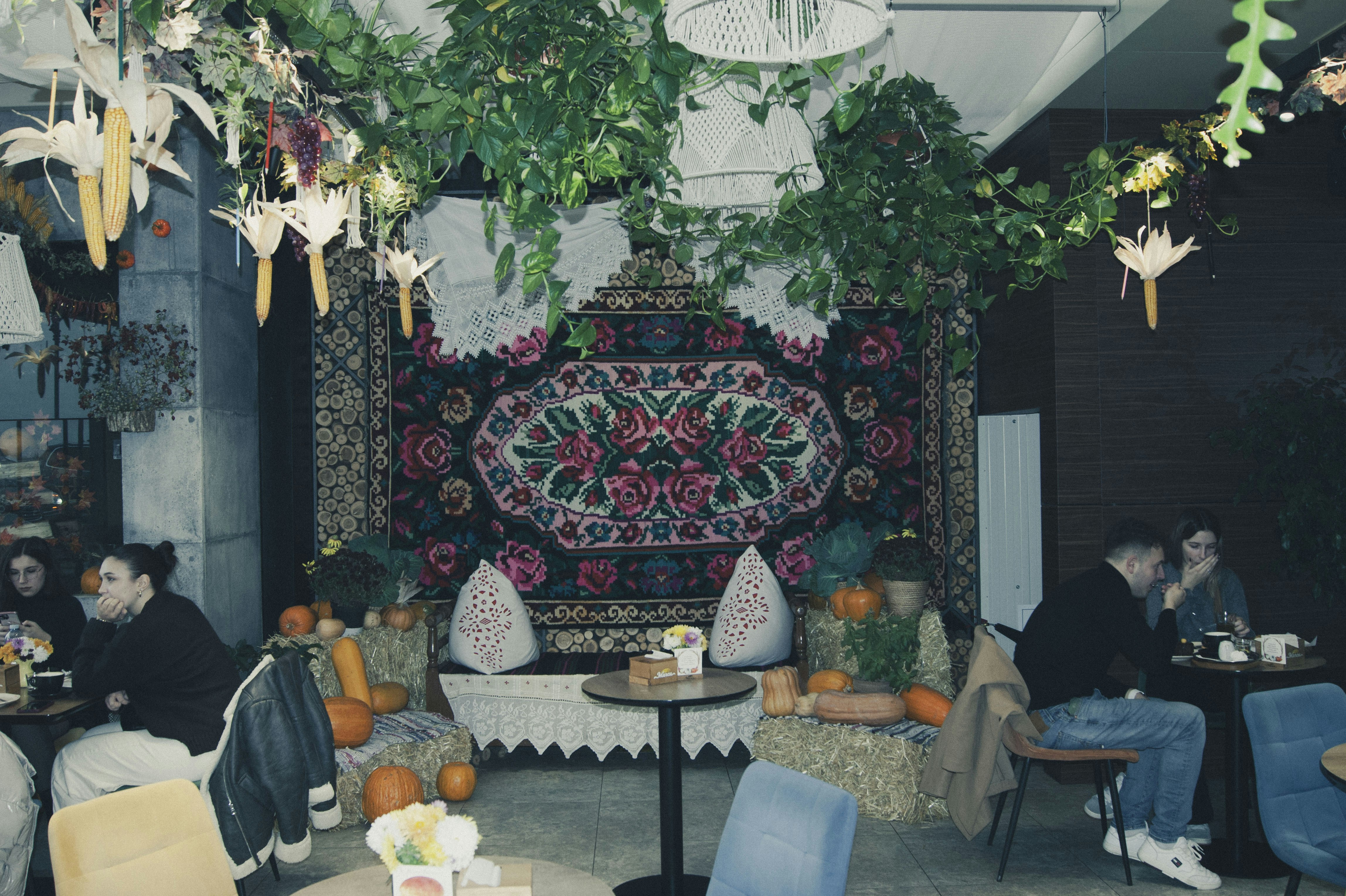 Cozy cafe interior with hanging plants and oriental rug