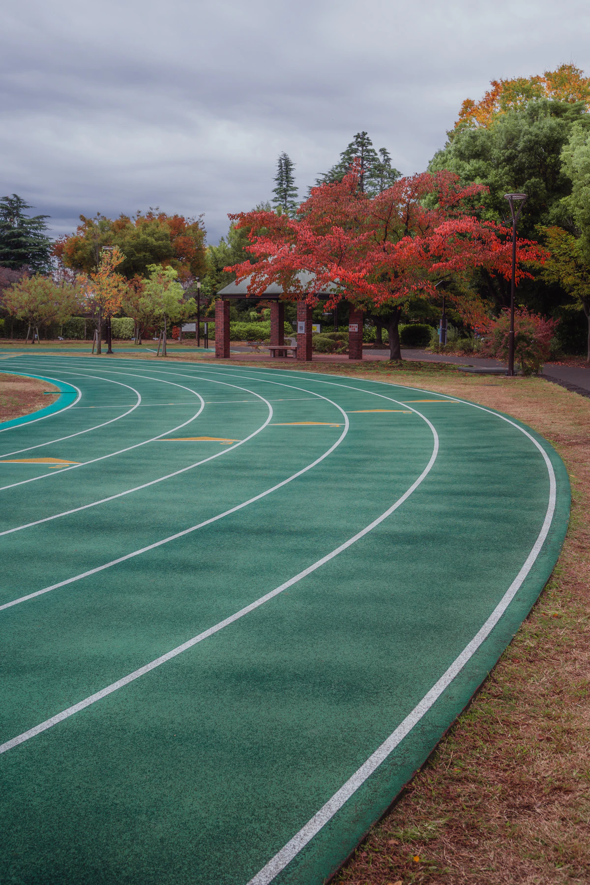 An empty running track representing training interrupted by under-recovery