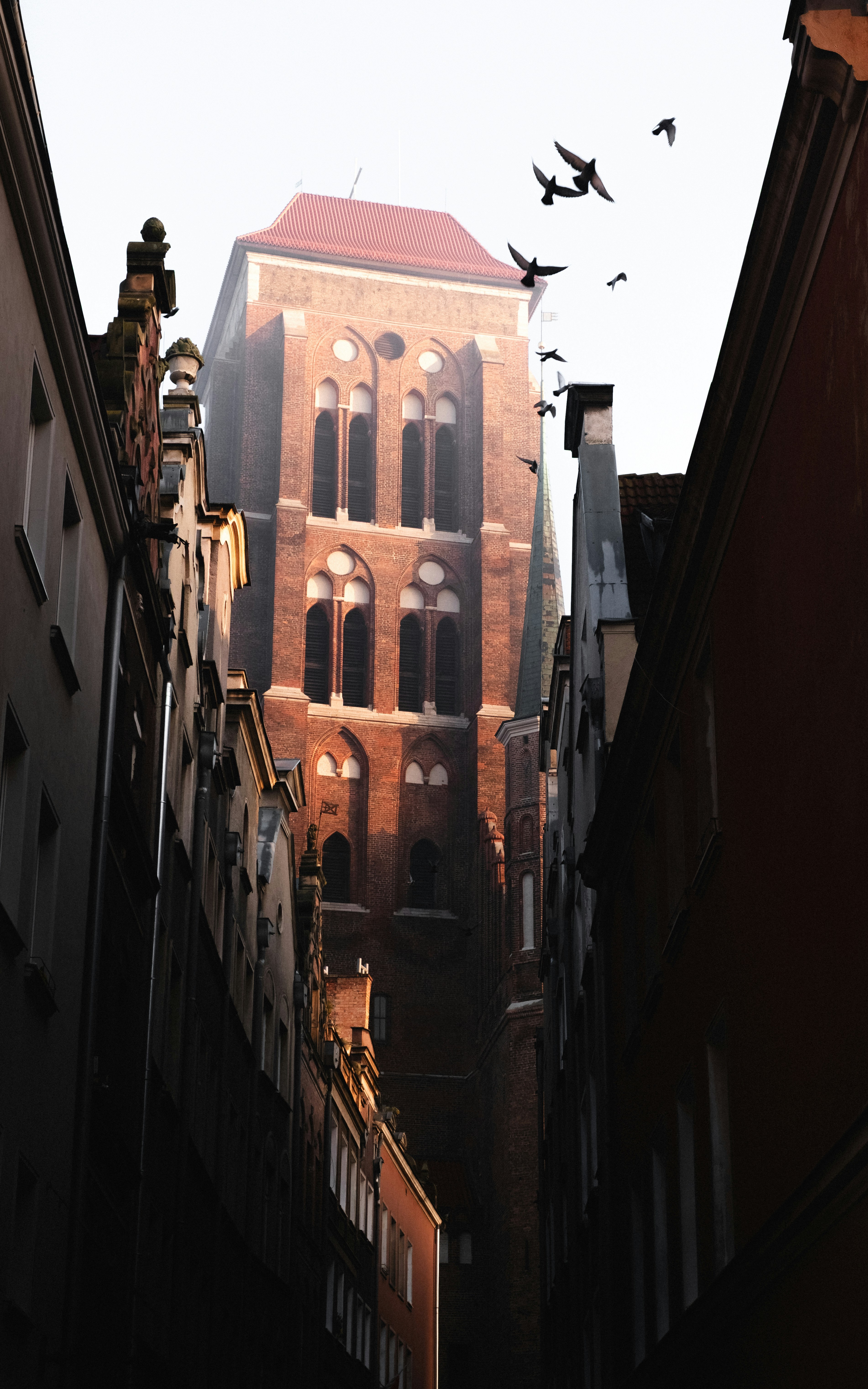 Photo by maksim_taawy