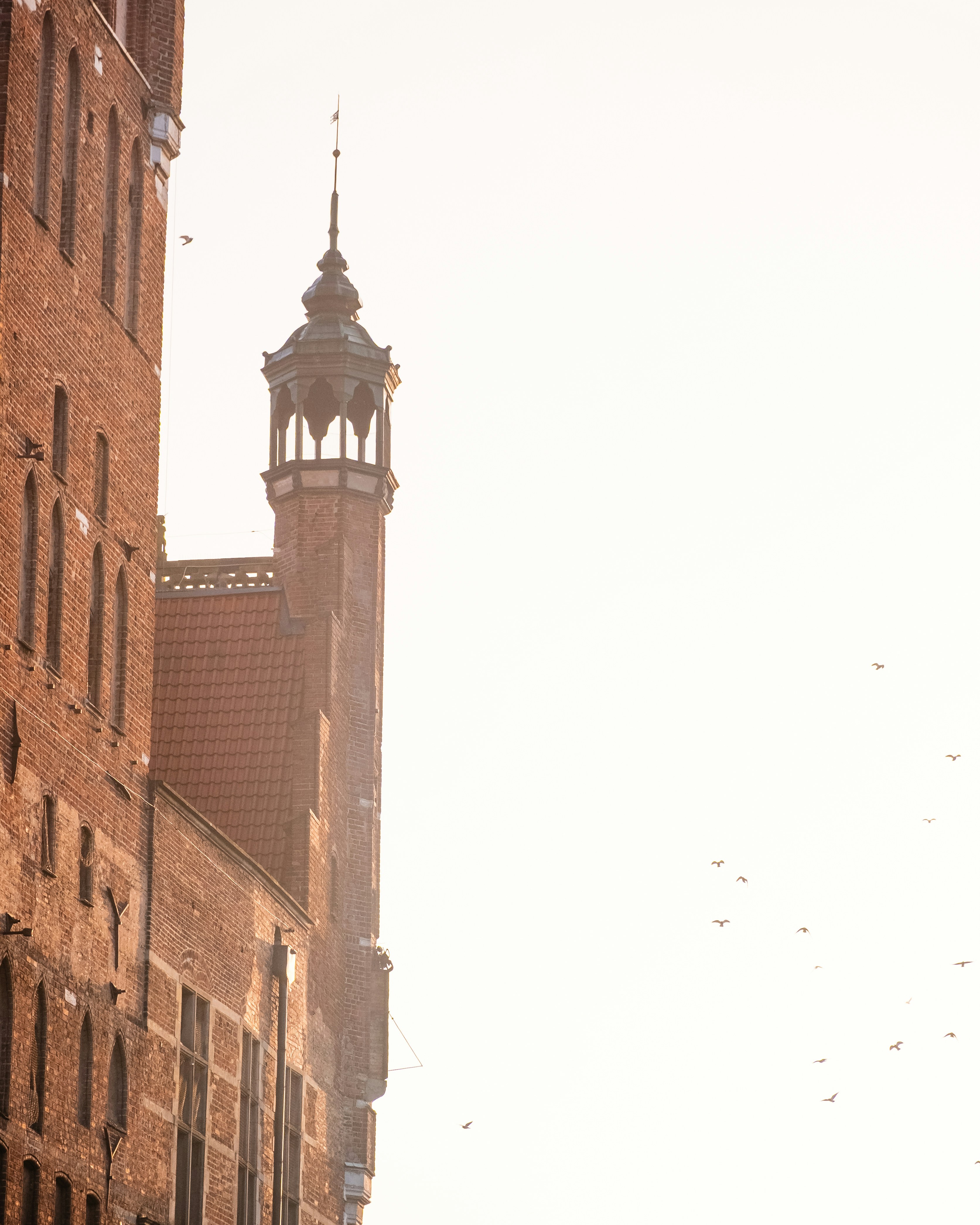 Photo by maksim_taawy