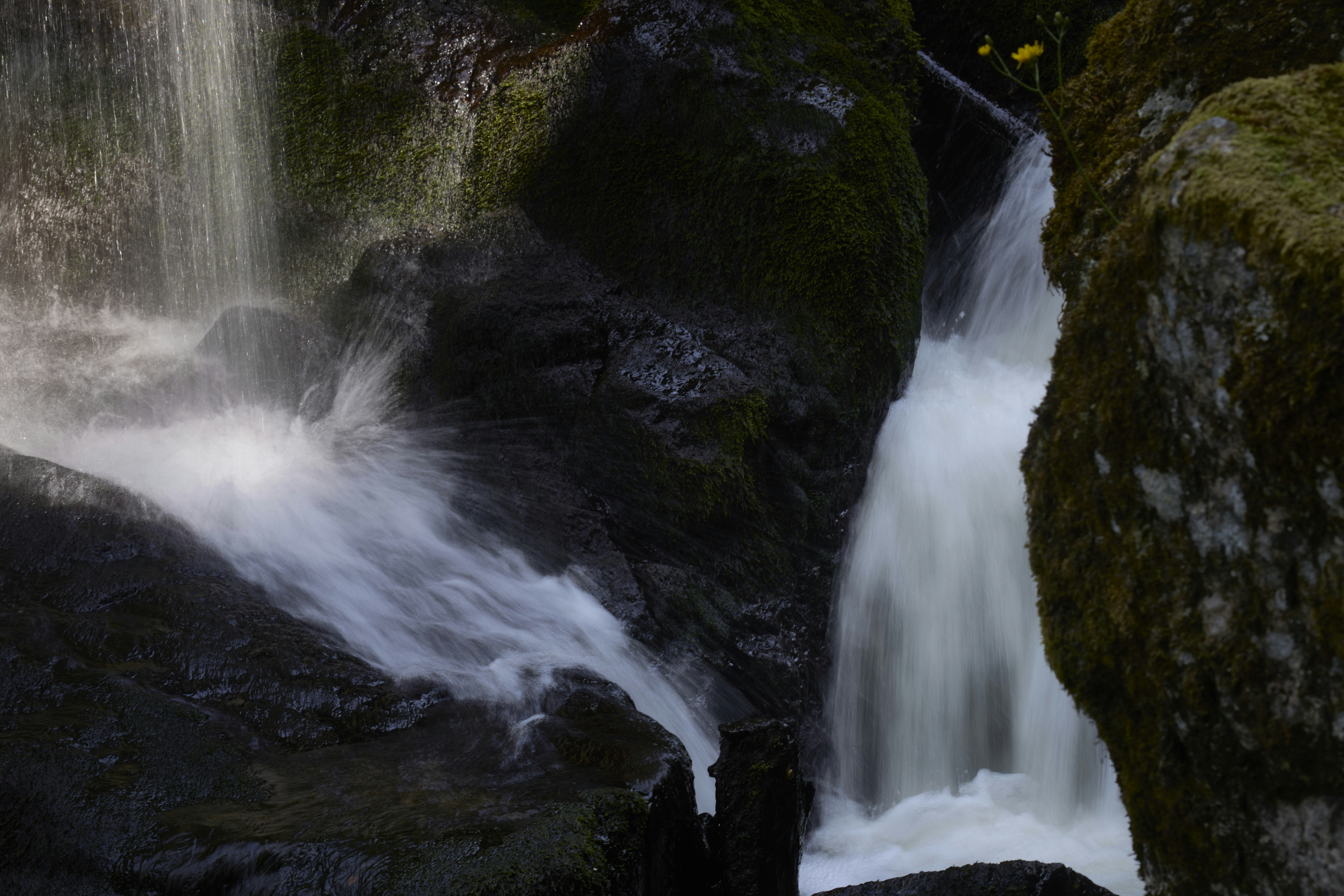 Photo by wolfgang_hasselmann