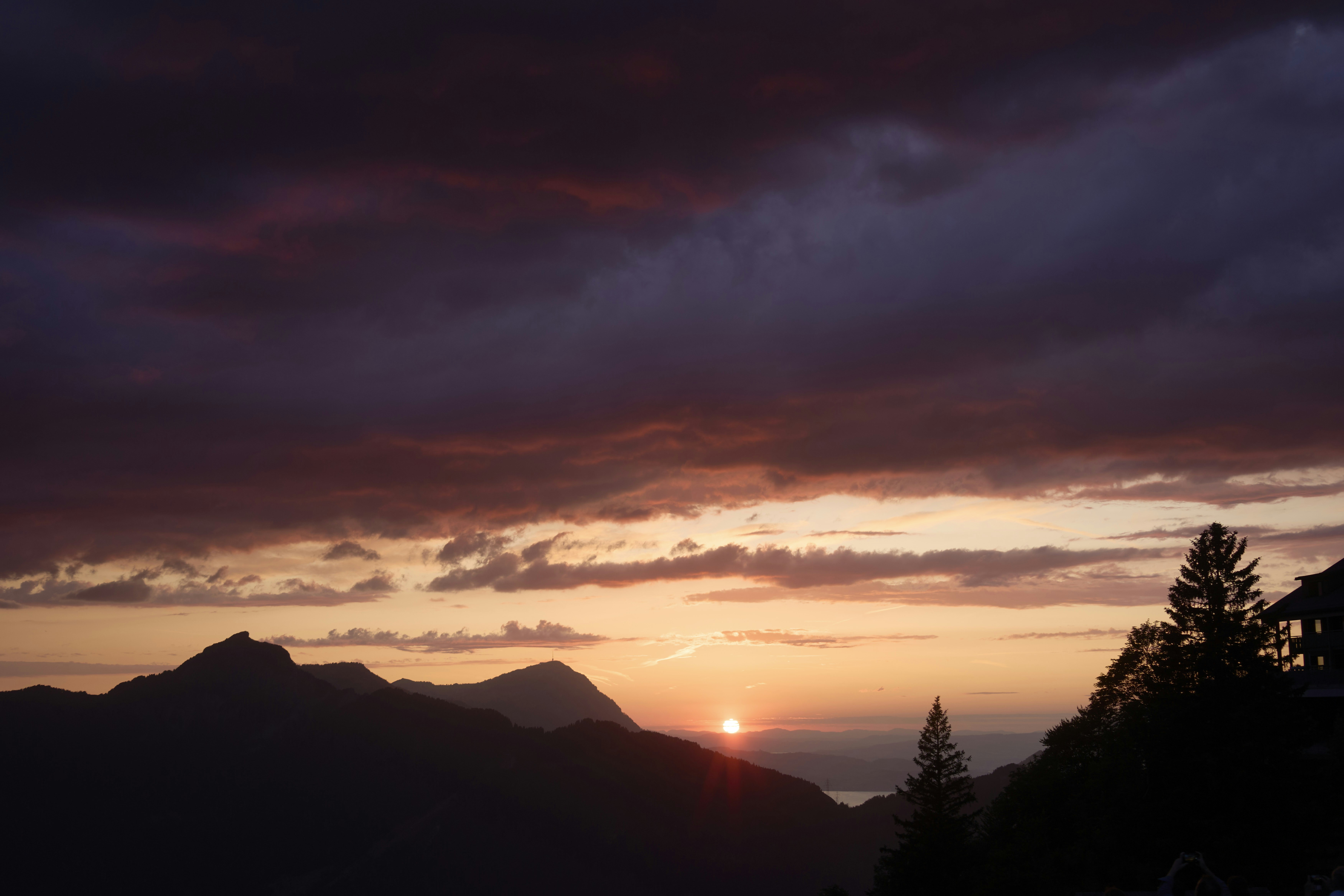 Photo by wolfgang_hasselmann