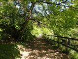 A shaded dirt path with a wooden fence and trees.