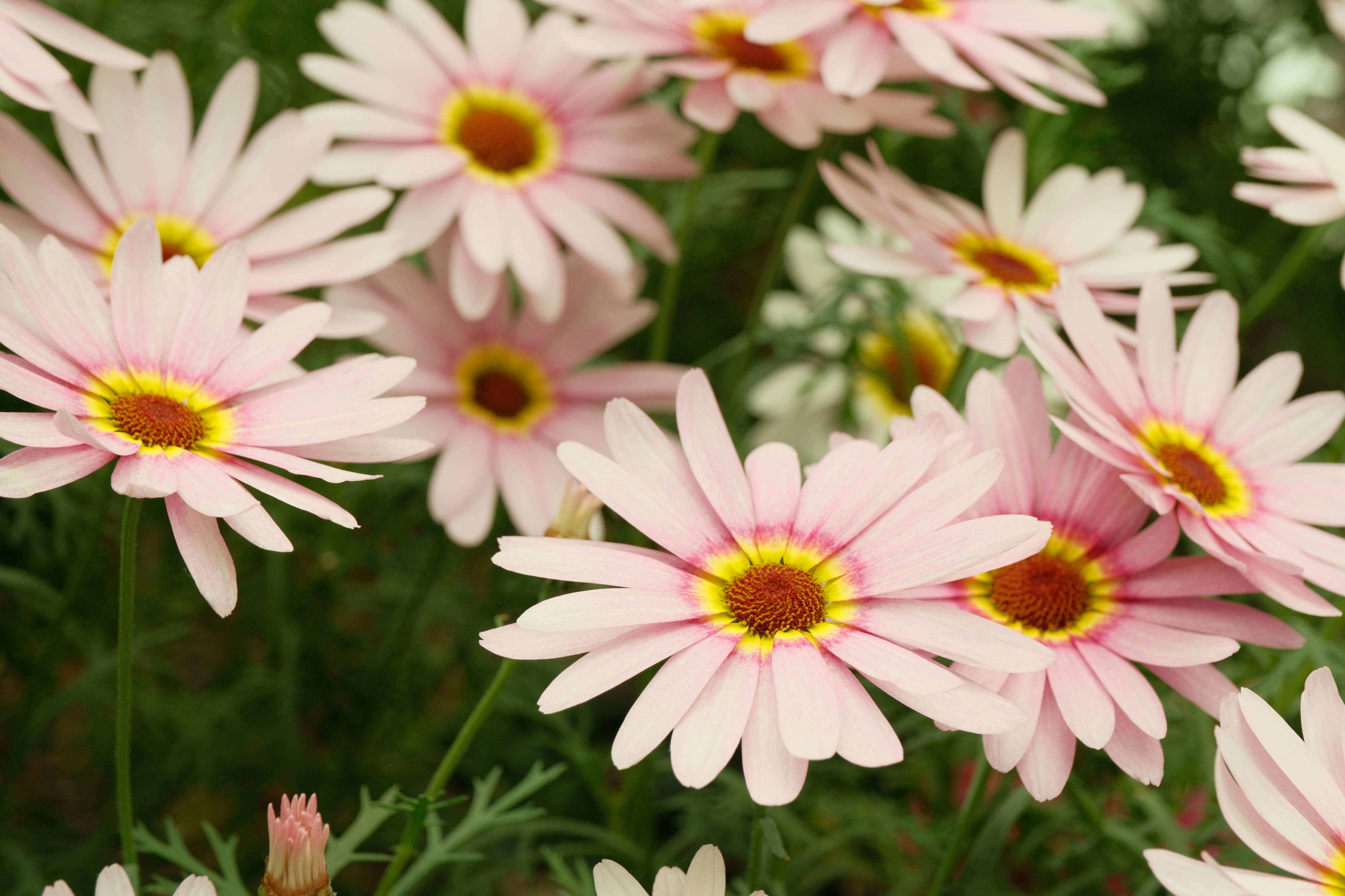 Photo by jaydraws2019