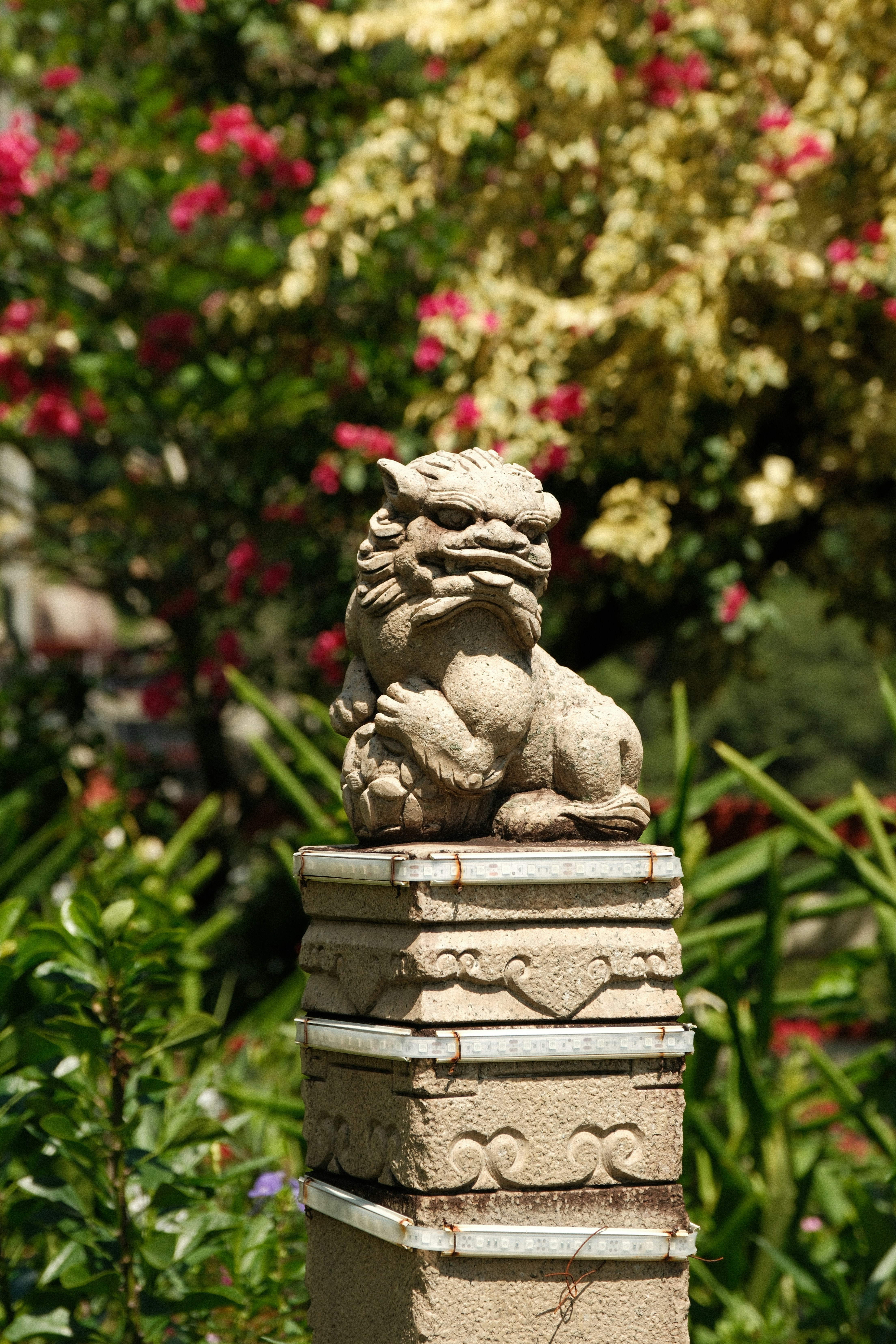 Photo by jaydraws2019