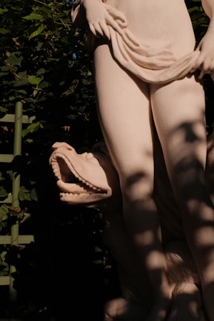 Transformation: Metamorphosis and Identity Change