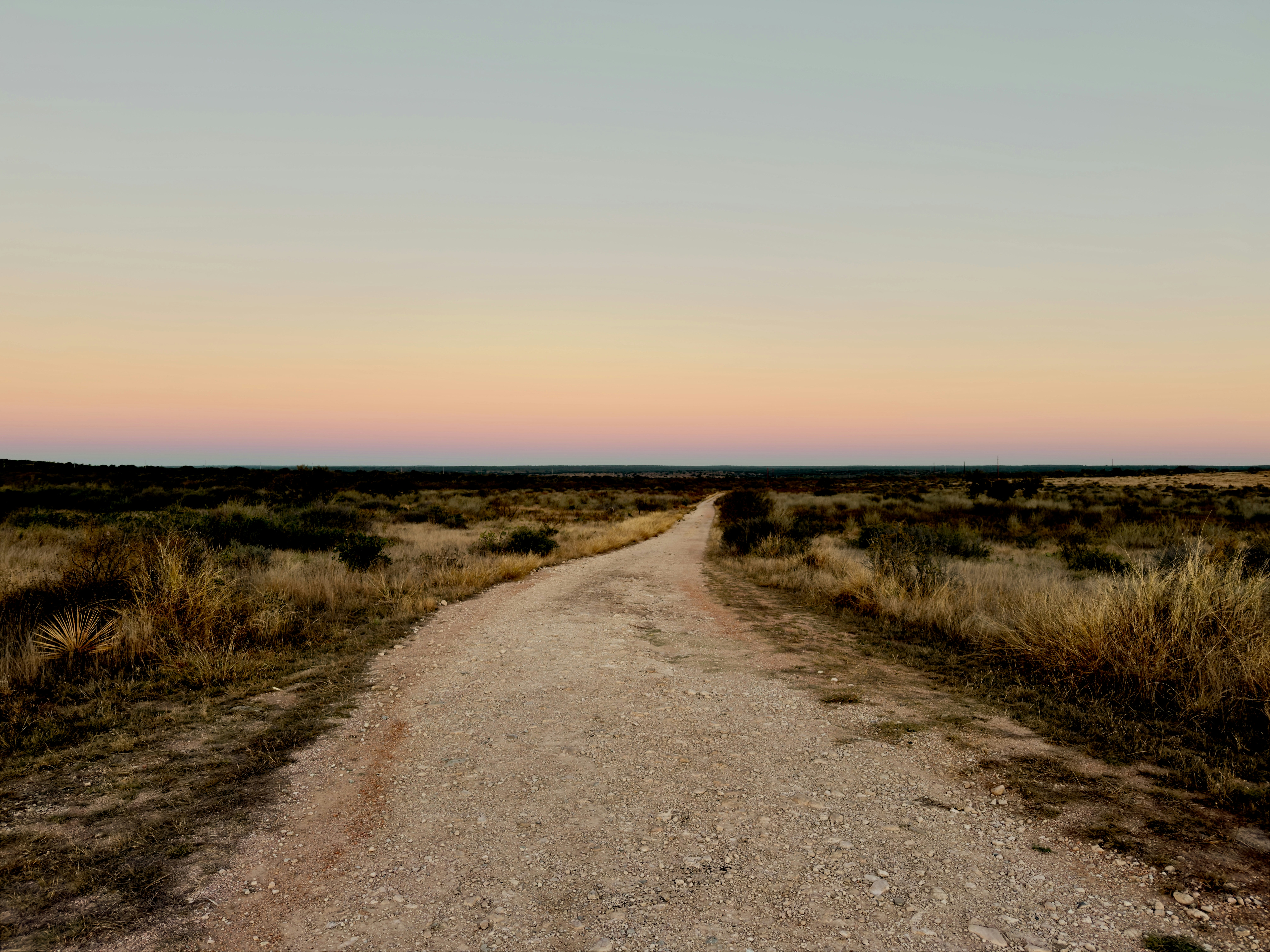 Dirt road through a dry grassy field at sunset