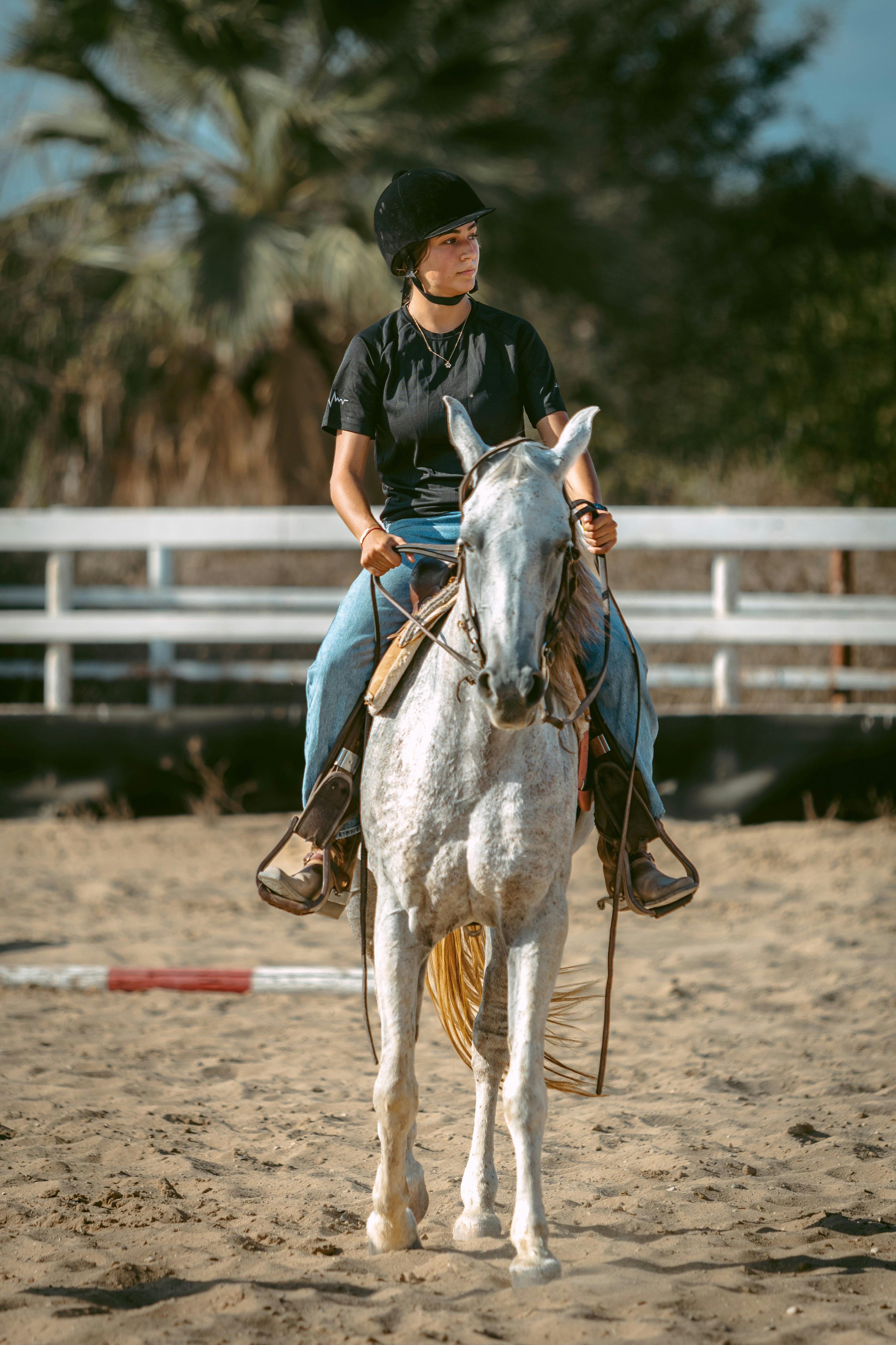 Photo by shoham_avisrur