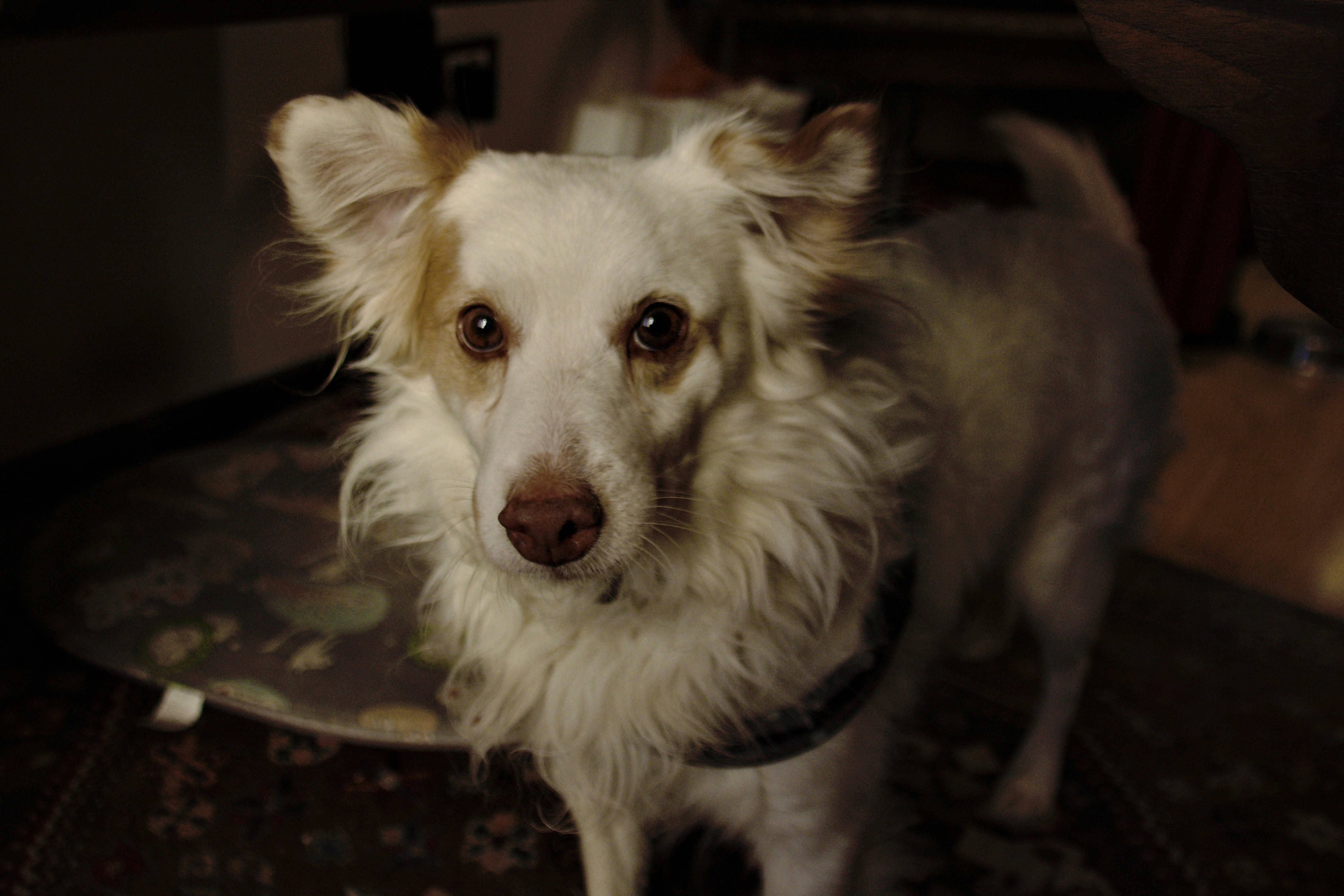 Photo by mariobeducci