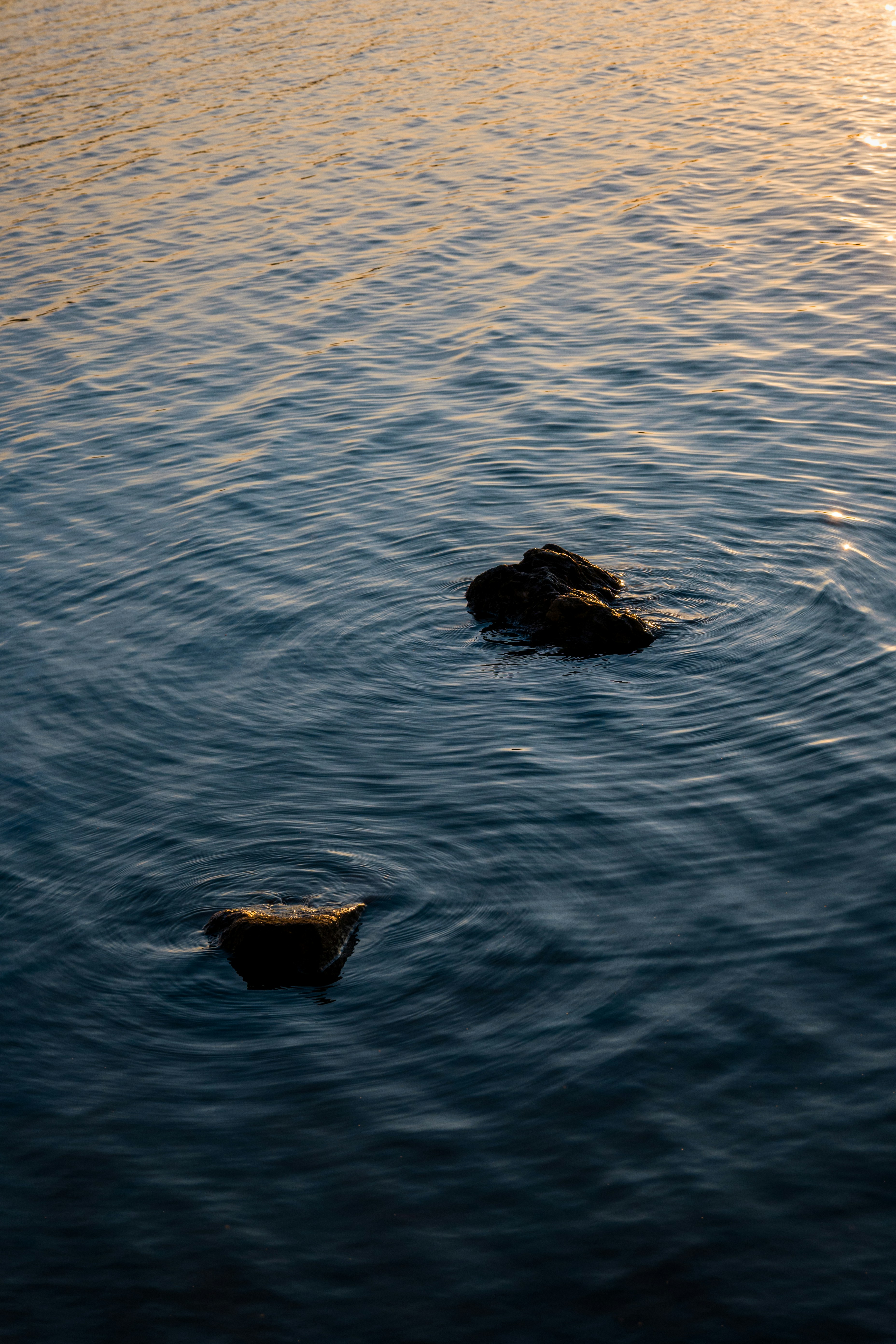 Photo by 1989folklore