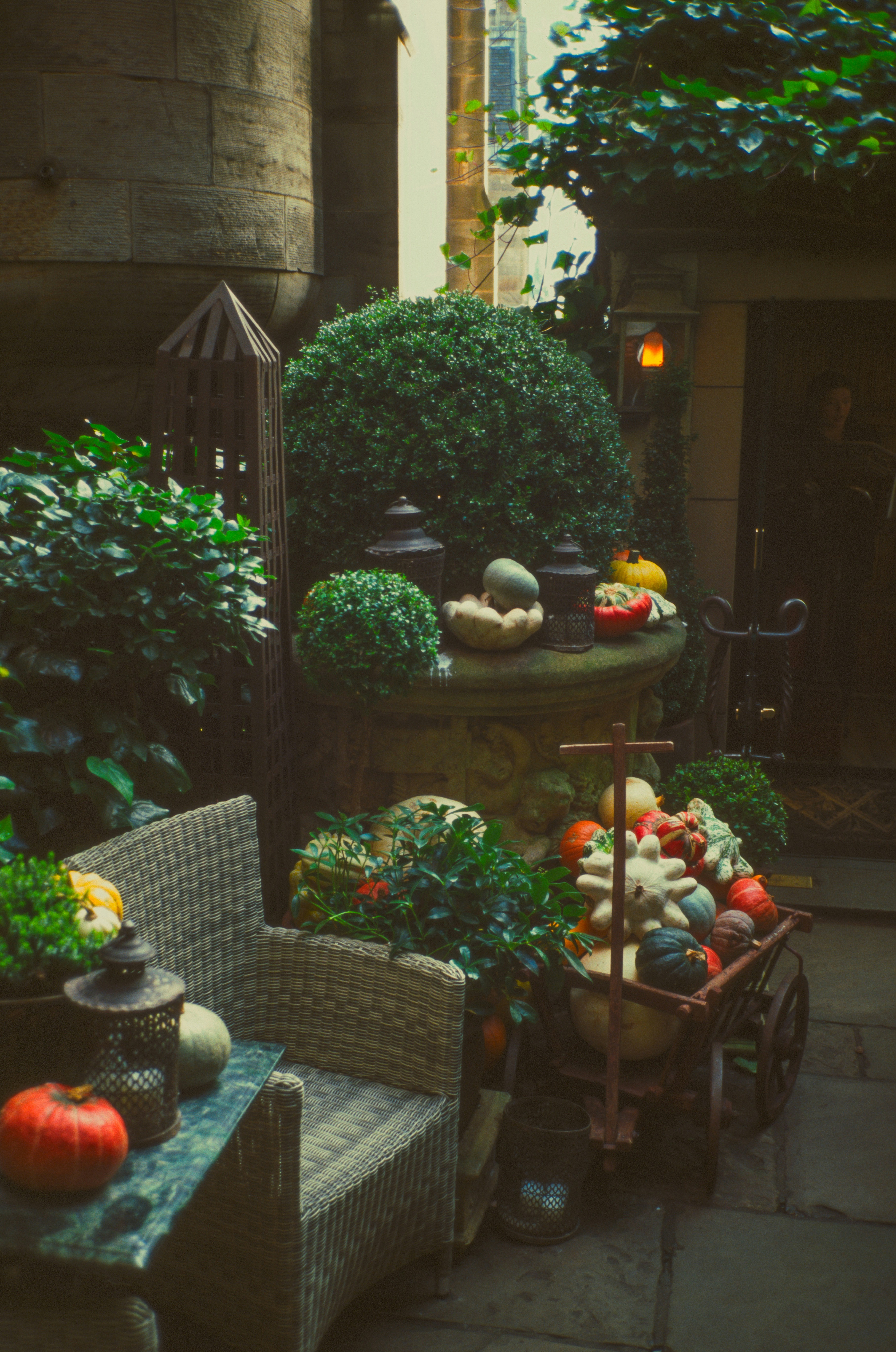 Pumpkins, gourds and a lantern in a stone-walled courtyard in late-afternoon light.