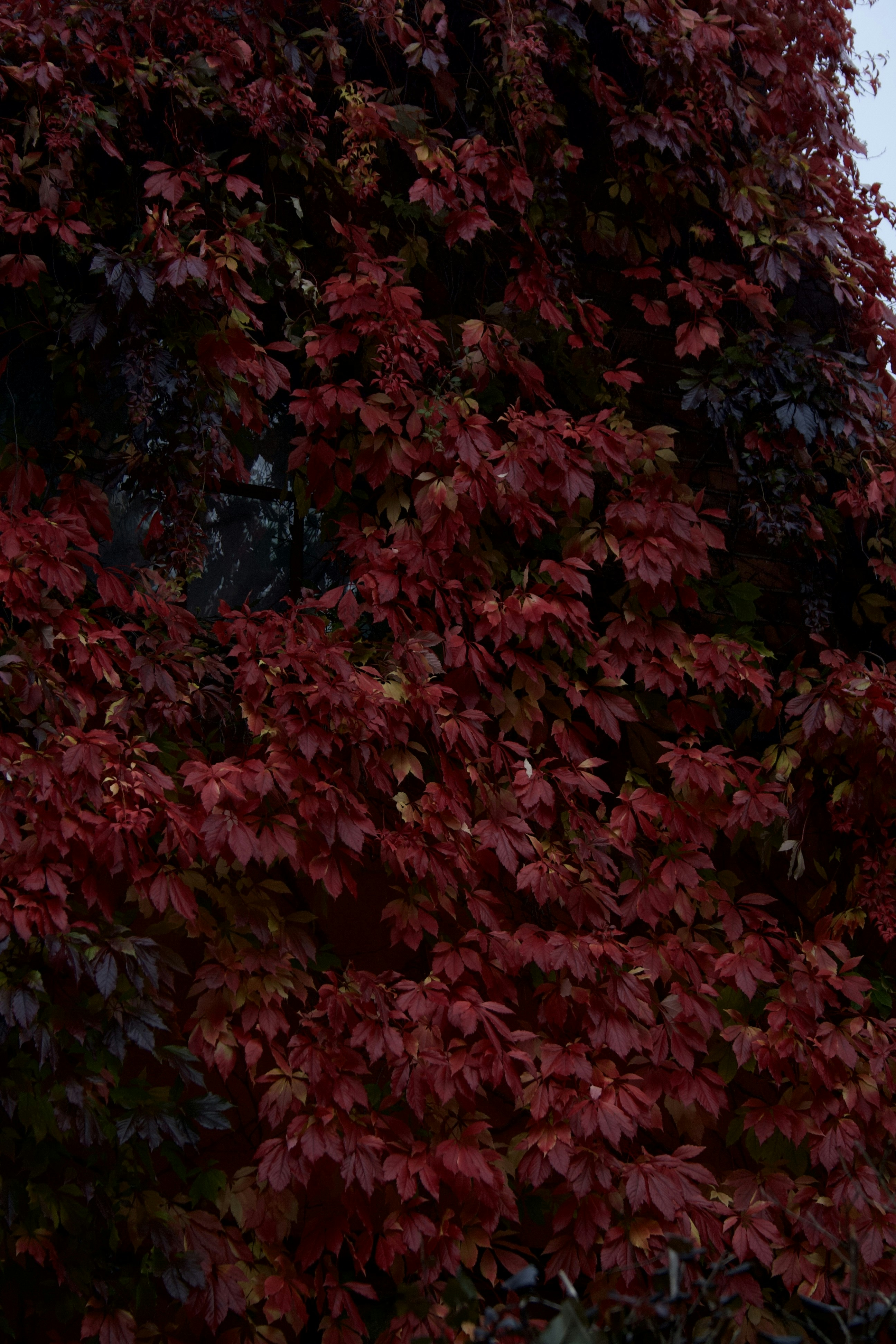 Photo by officiallyamandaaaa