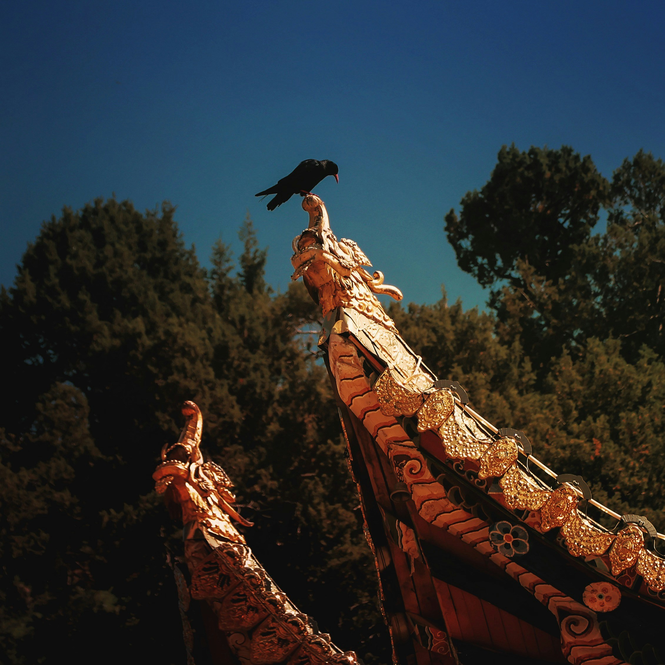 Eine Krähe sitzt auf einem goldenen Drachendach
