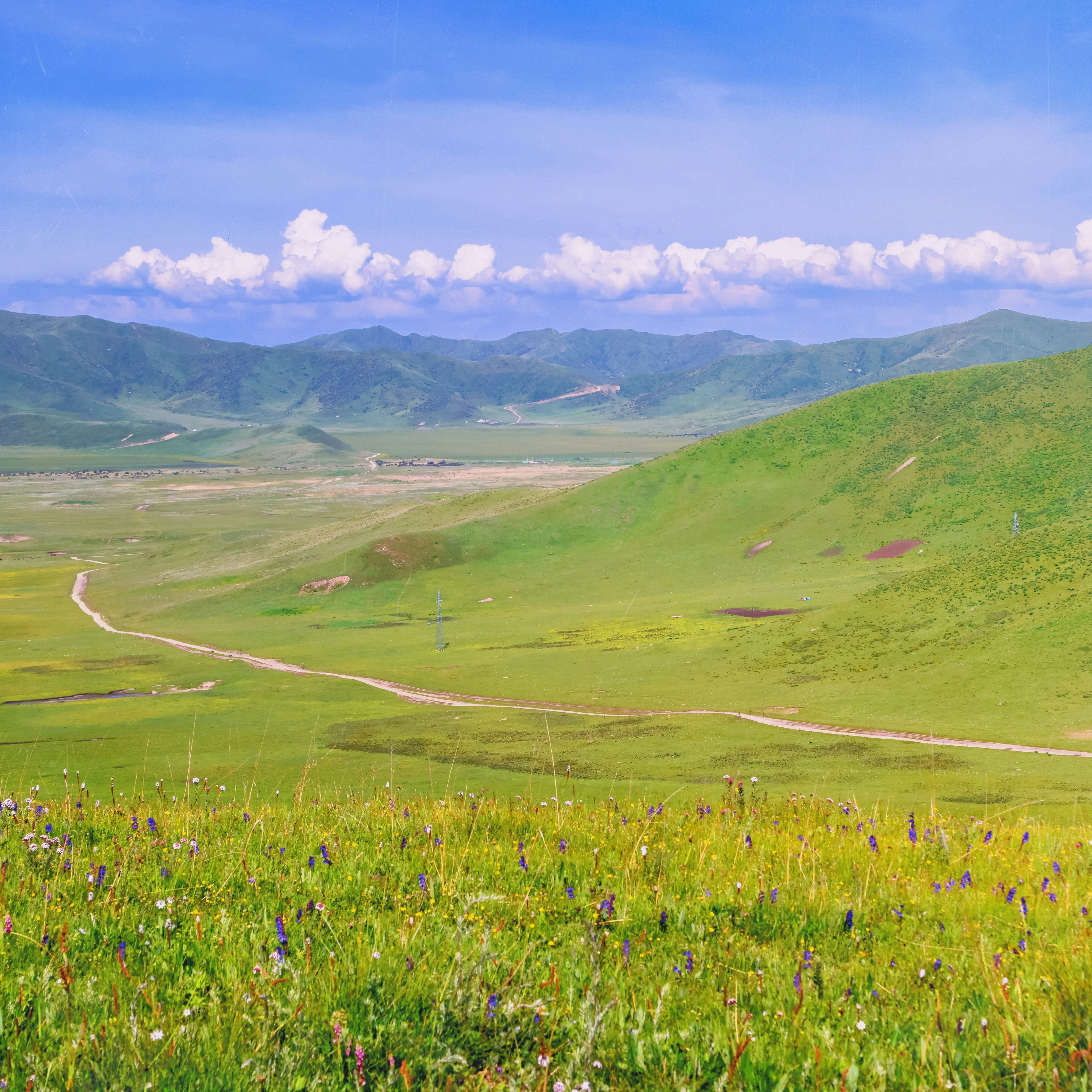 Photo by dickenslin76