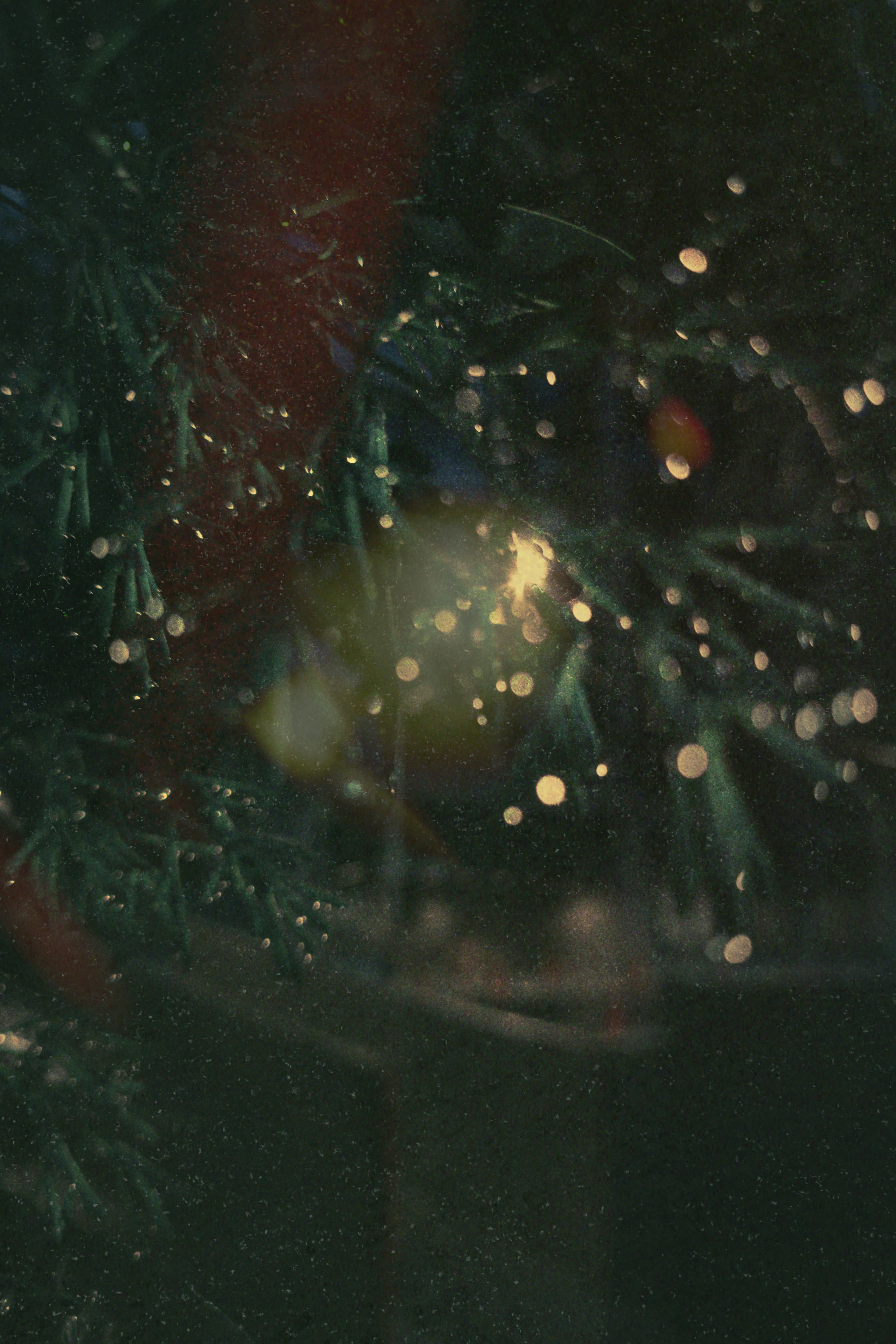Close-up of a decorated christmas tree with lights.