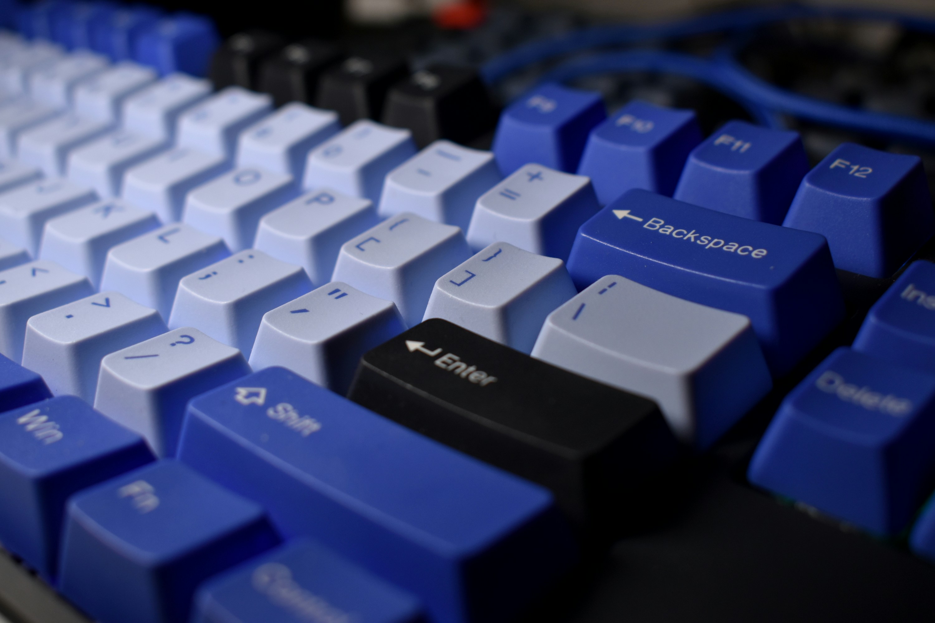 Close-up of a blue and white computer keyboard.