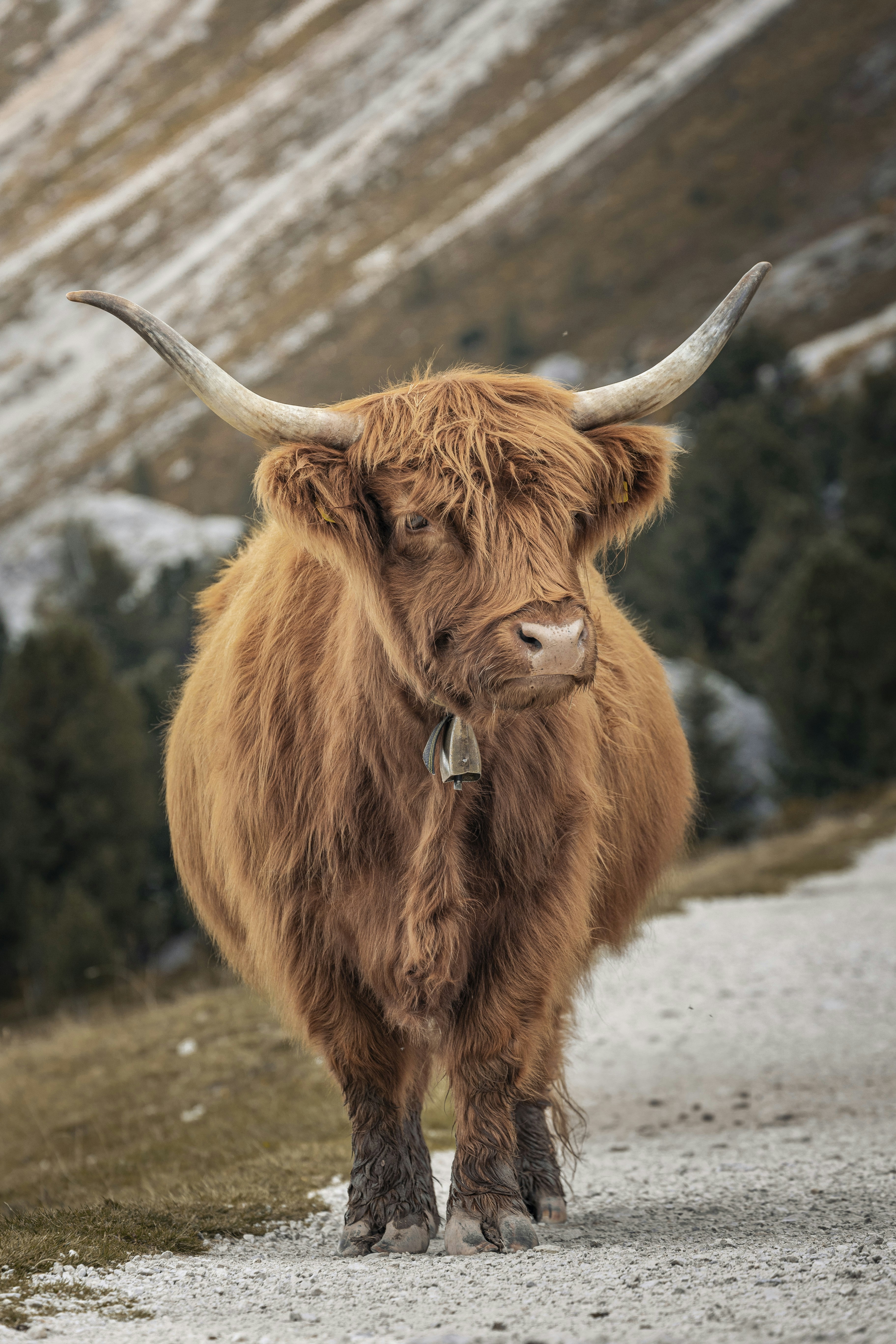 Photo by sarah_lobrutto