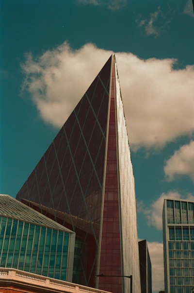 2024 年网站设计趋势与未来展望