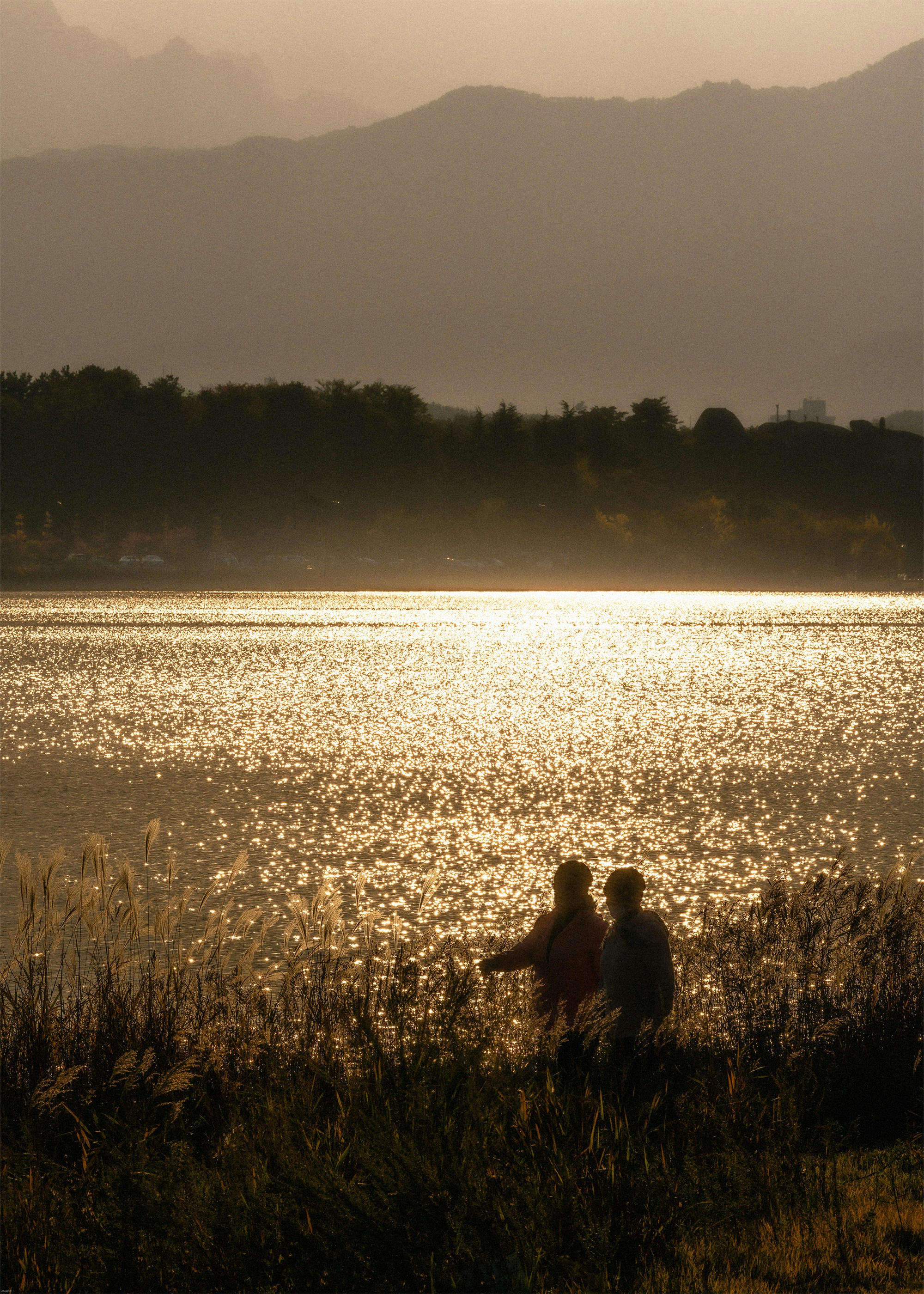 Photo by jinhan_photo