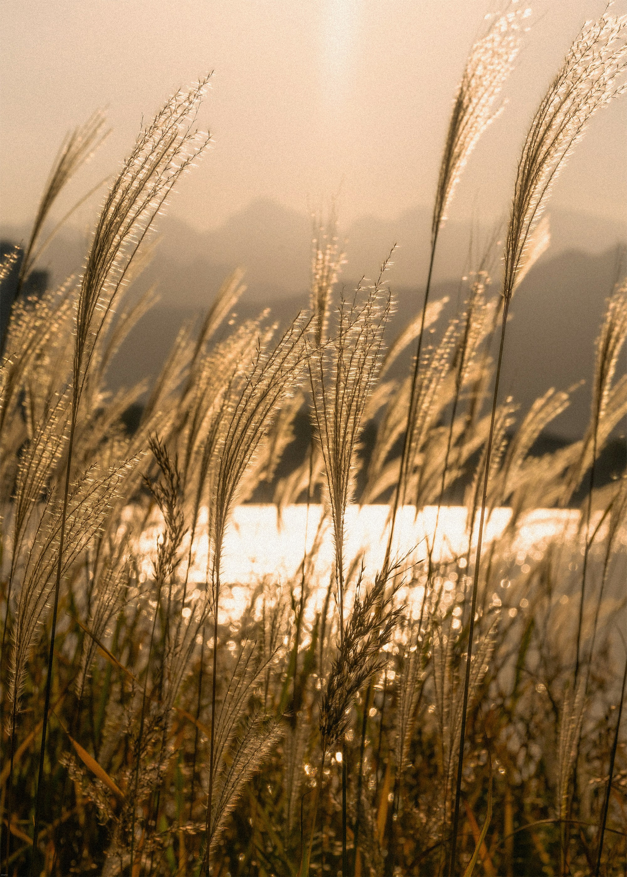 Photo by jinhan_photo