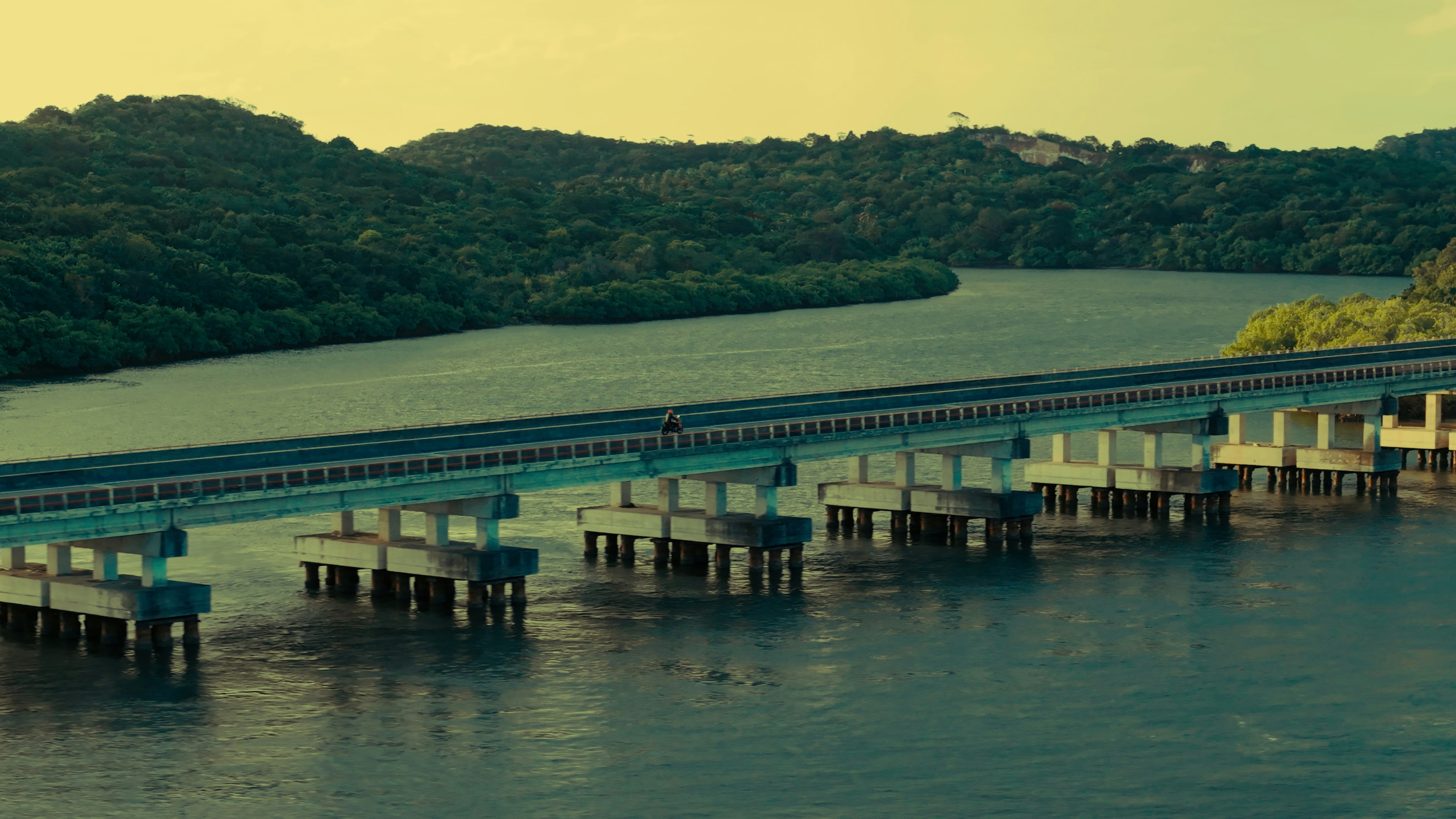 A long bridge crosses a wide river with forested hills.