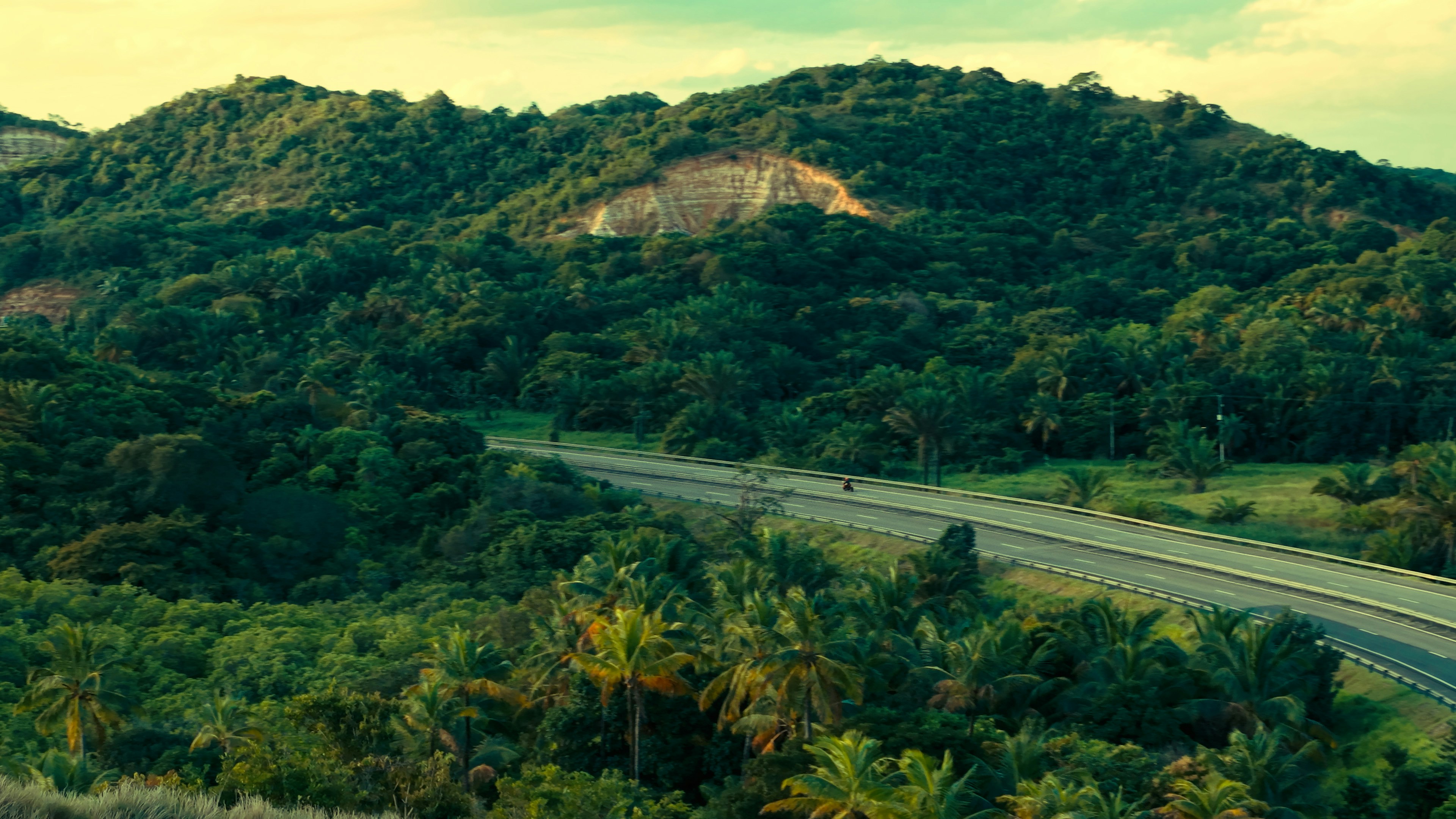 A winding road through a lush green forest.