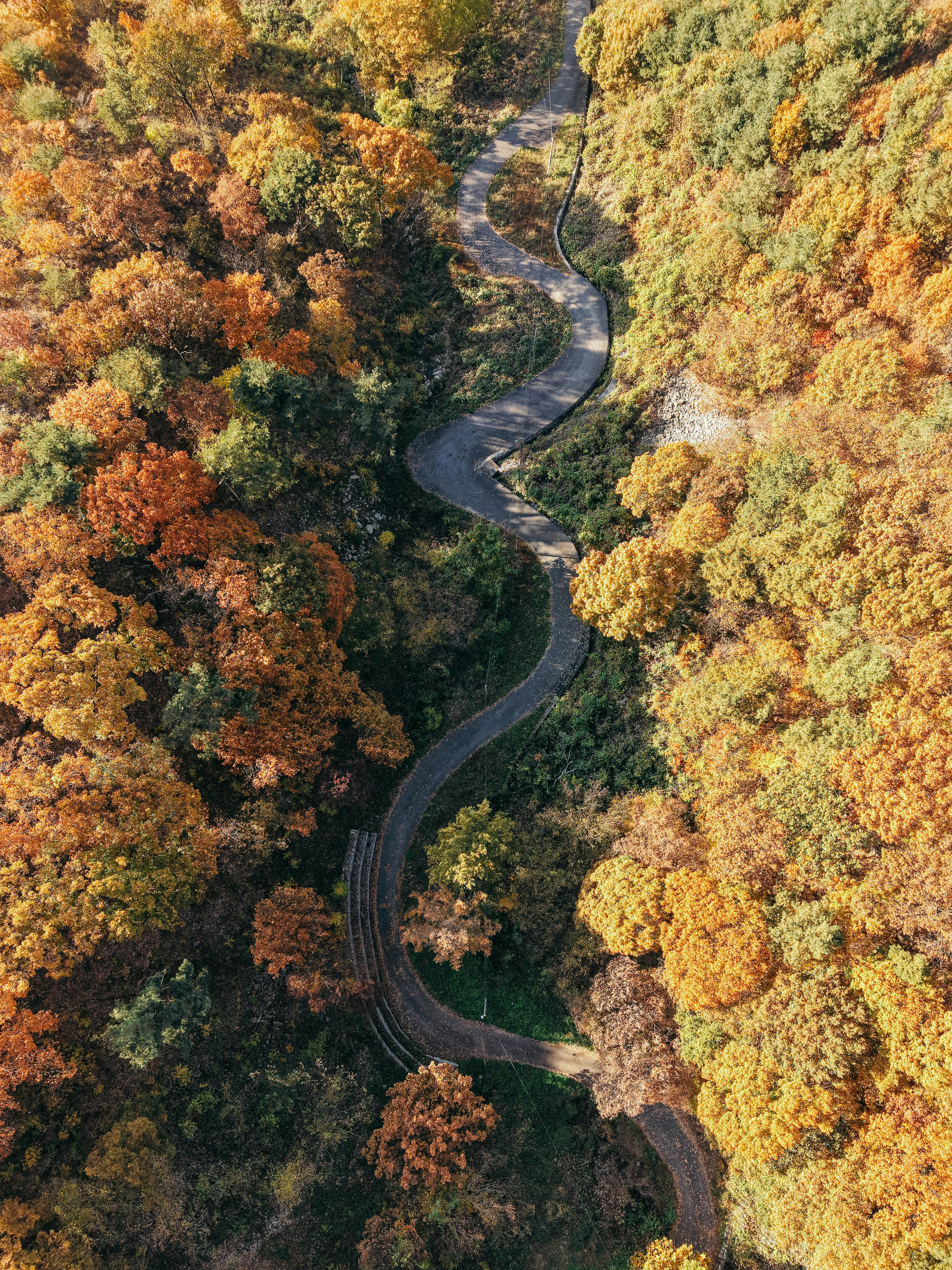 Photo by insungpandora