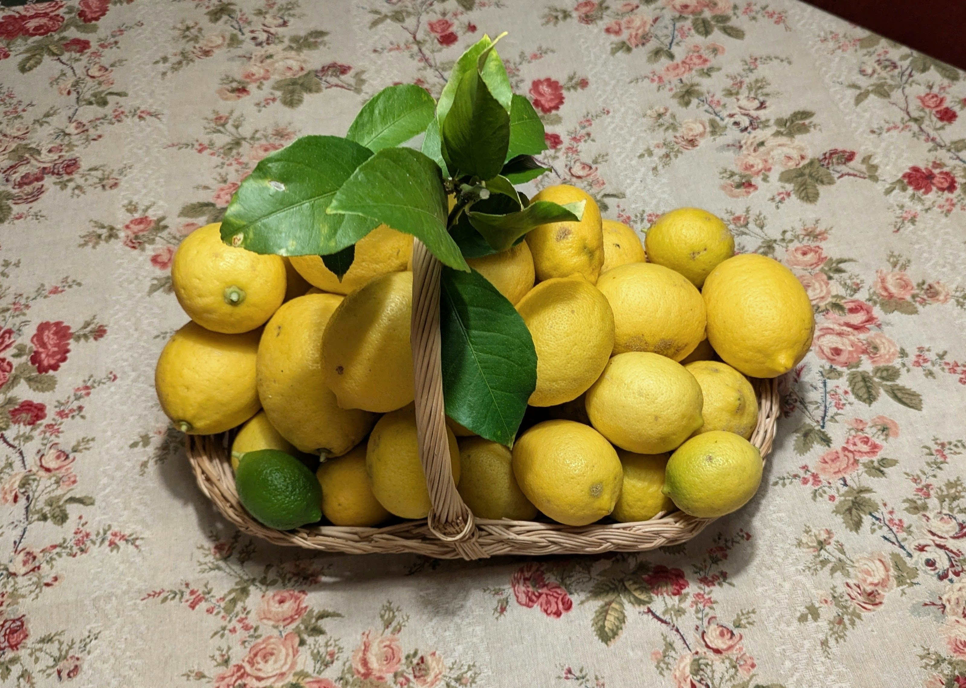 A basket full of fresh lemons with green leaves.