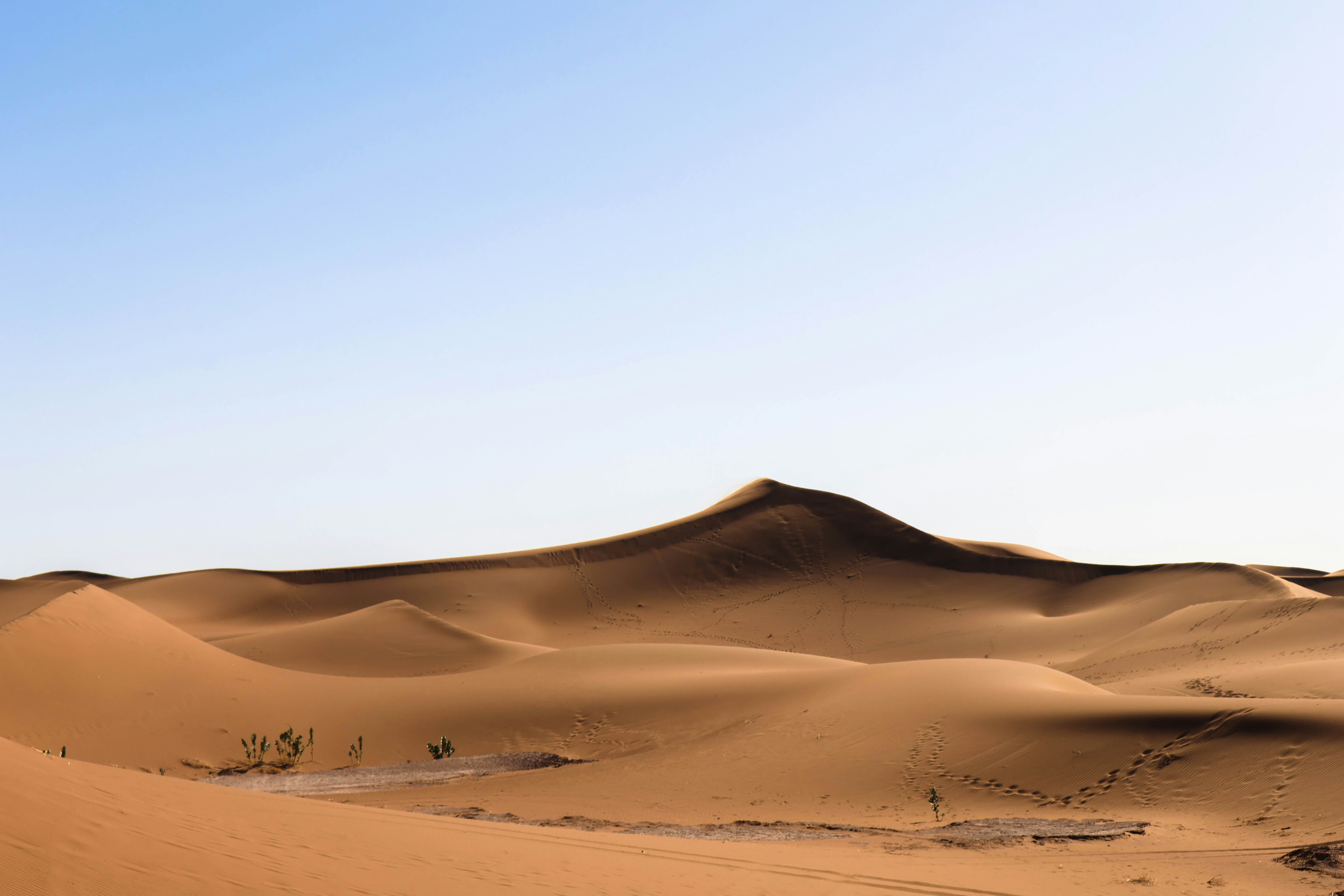 Photo by aleksander_stypczynski