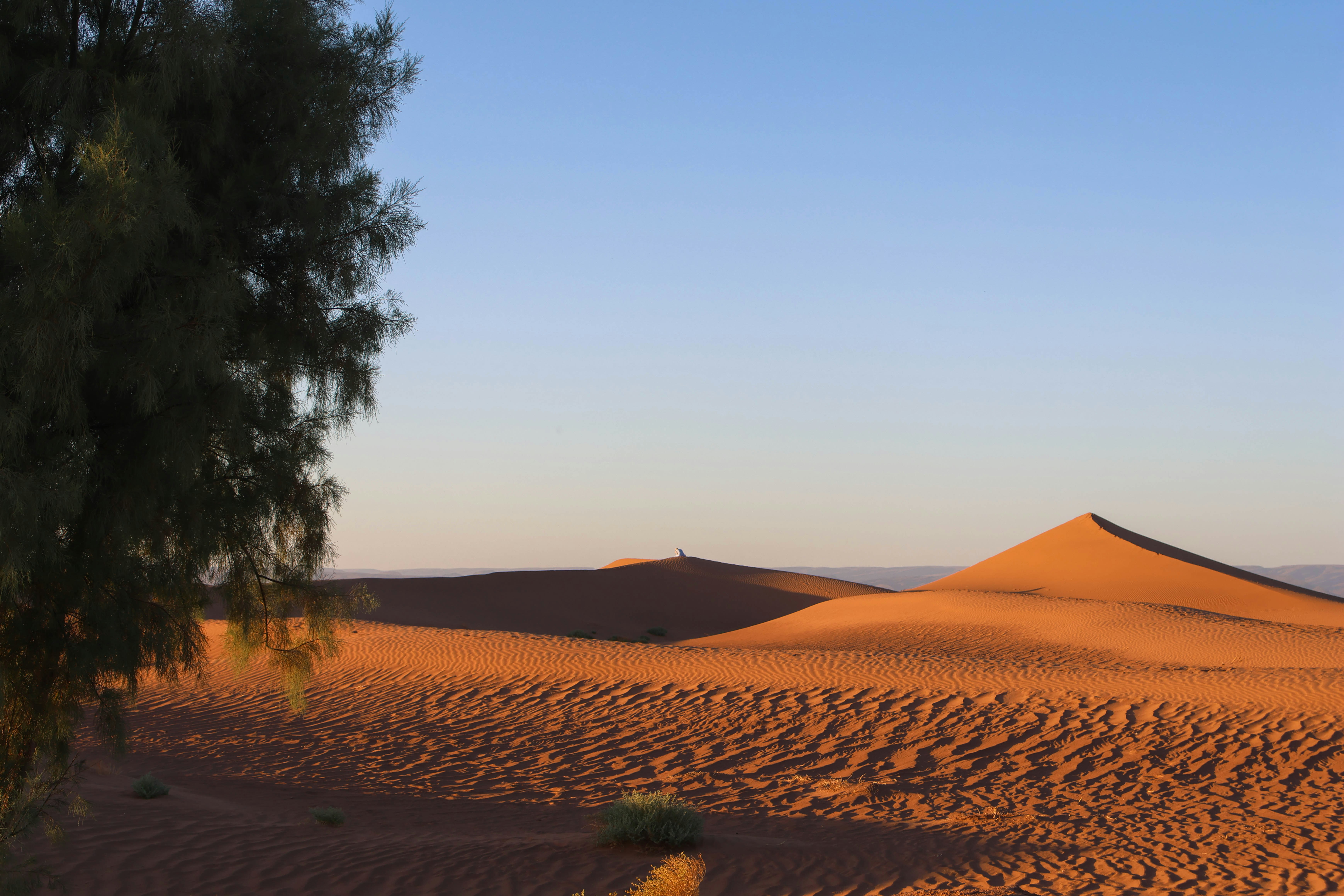 Photo by aleksander_stypczynski