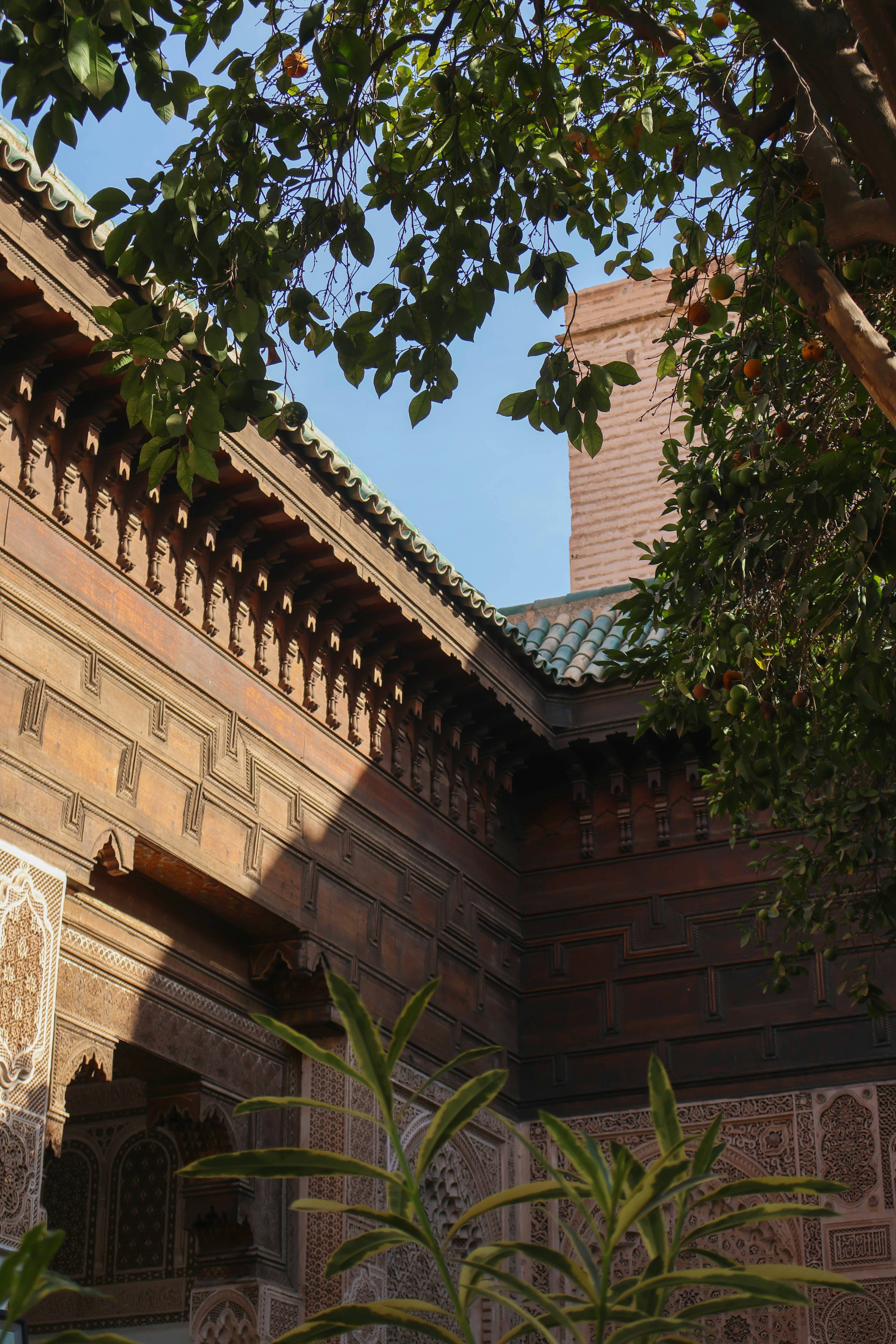 Photo by aleksander_stypczynski