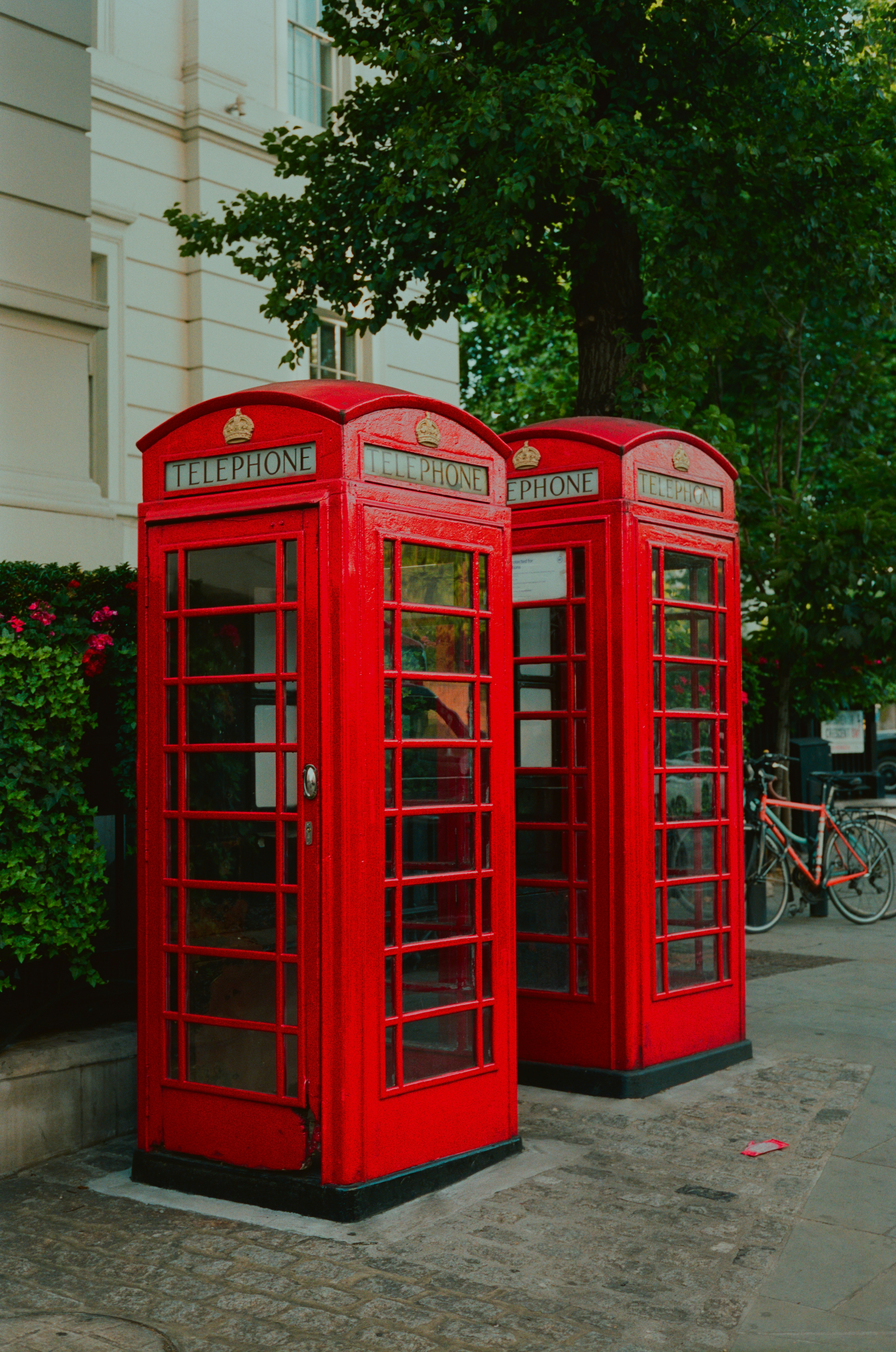 Photo by intrepidfilm