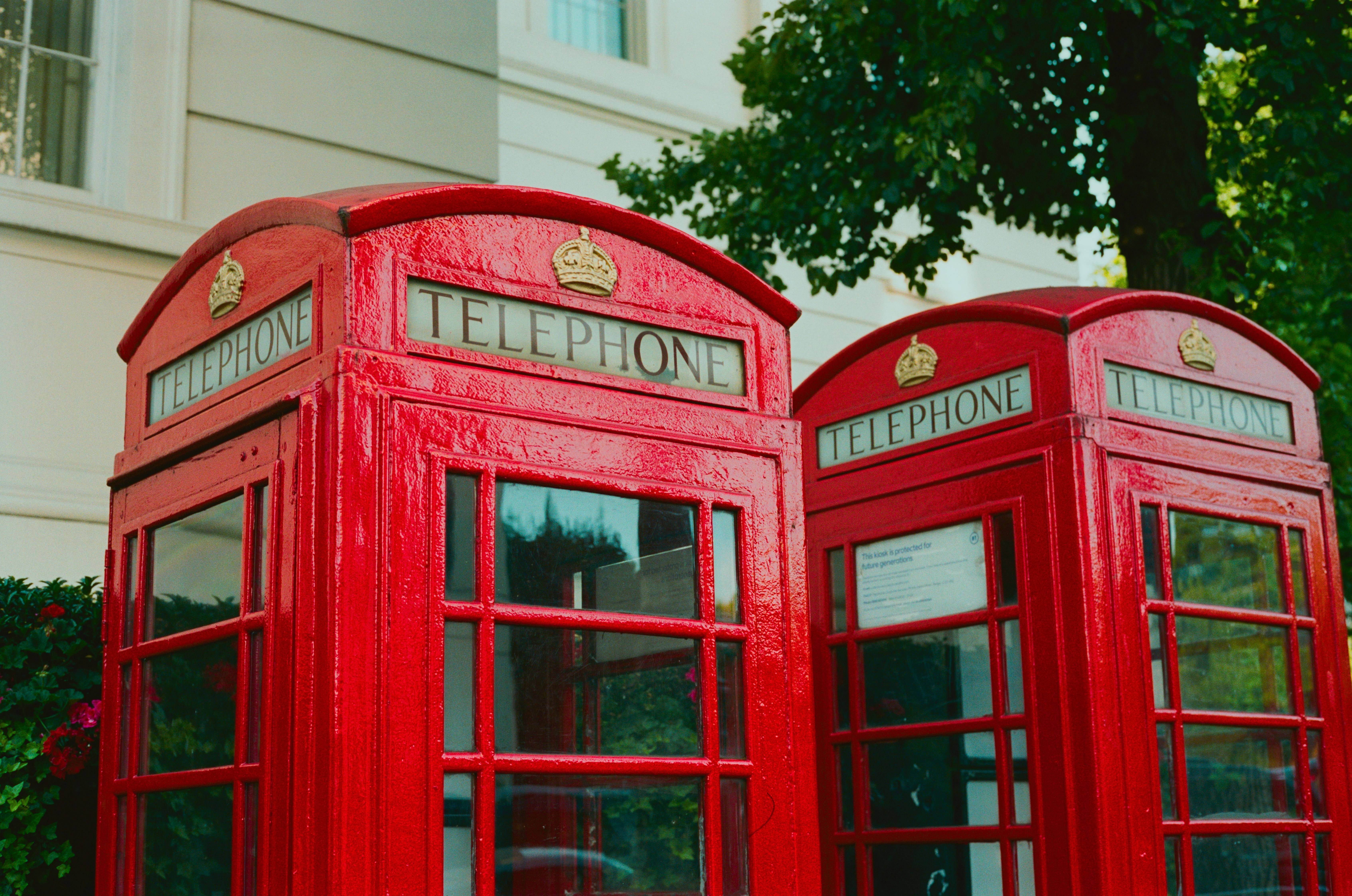 Photo by intrepidfilm