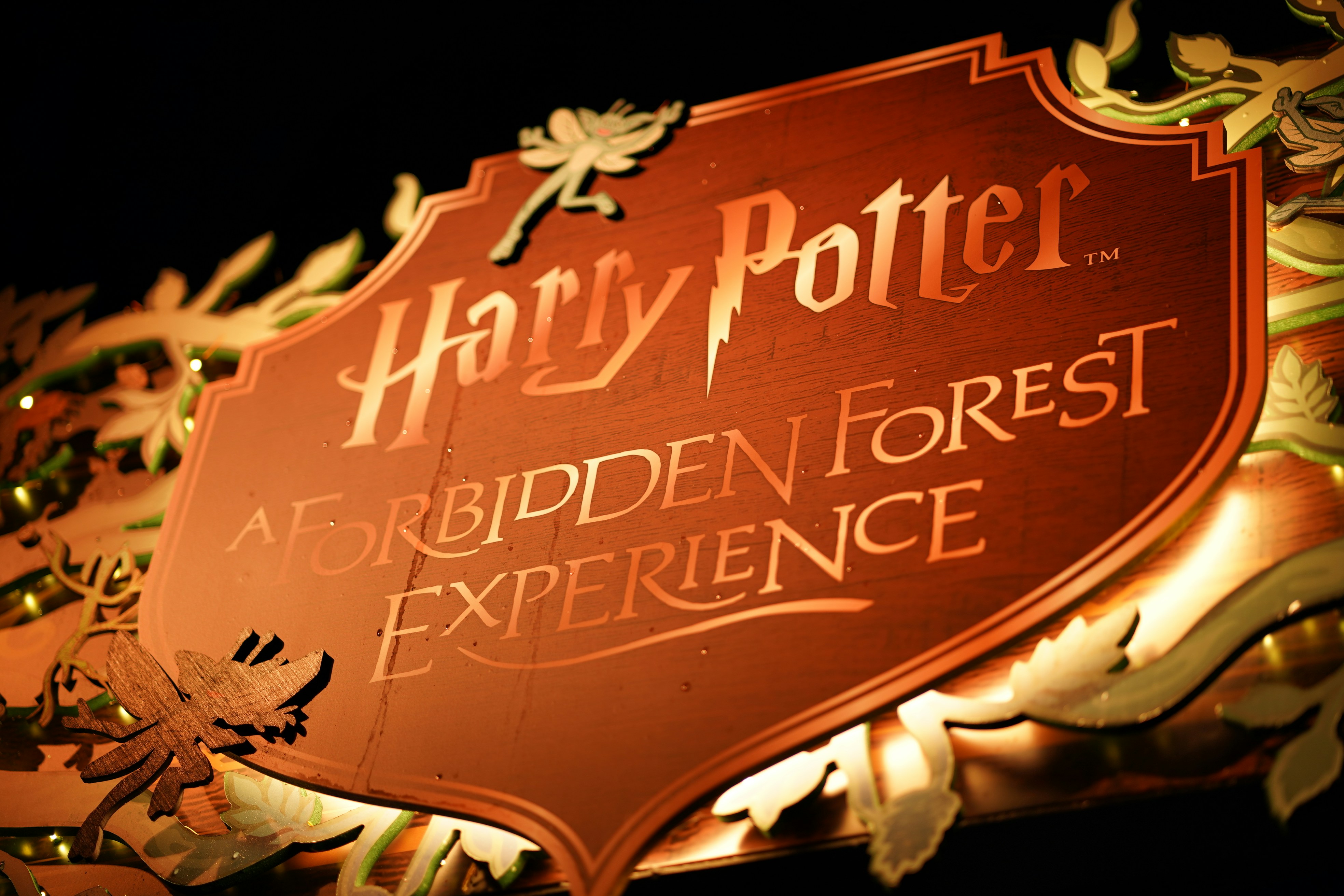 Harry potter forbidden forest experience sign