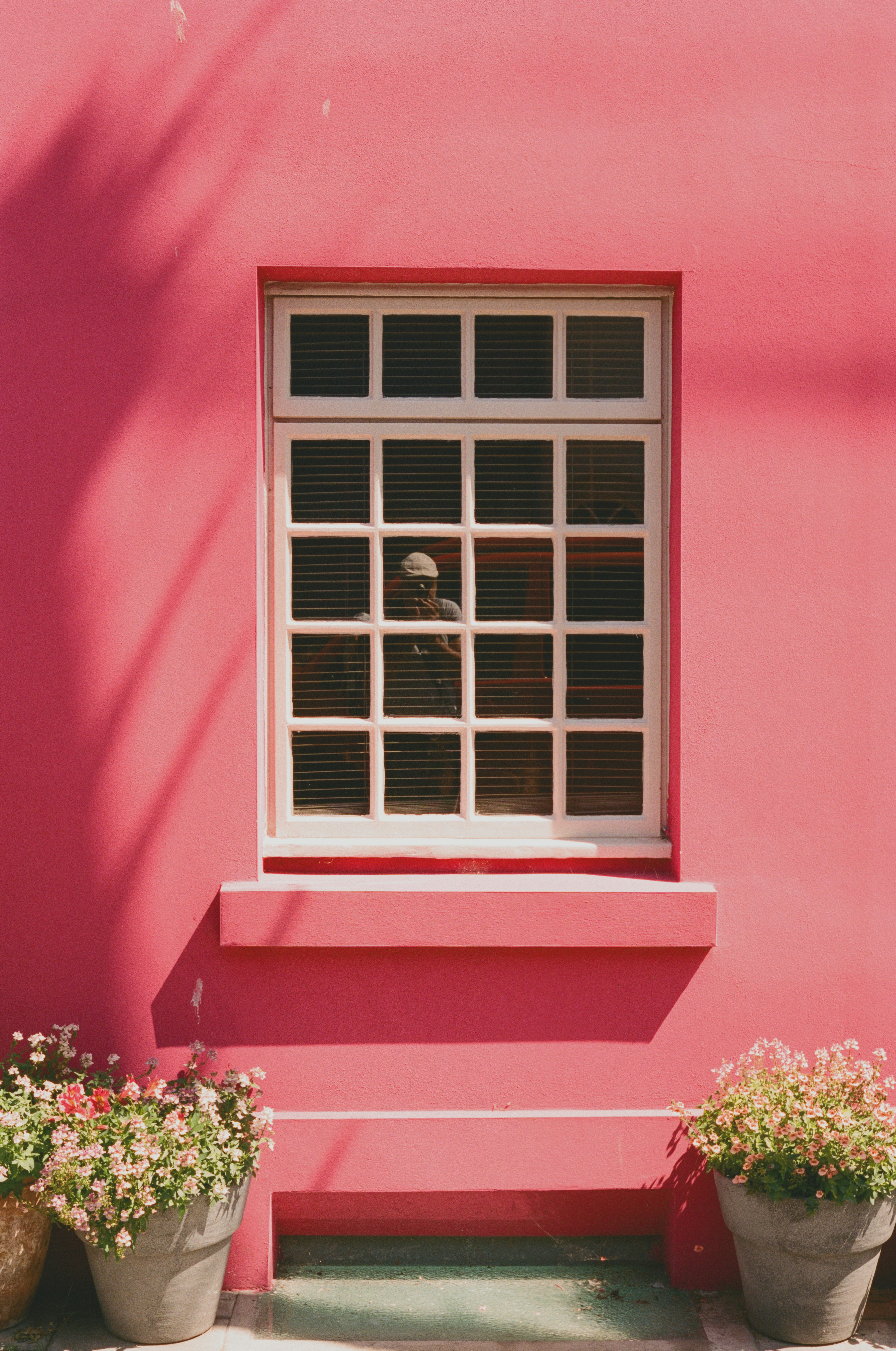 Photo by intrepidfilm