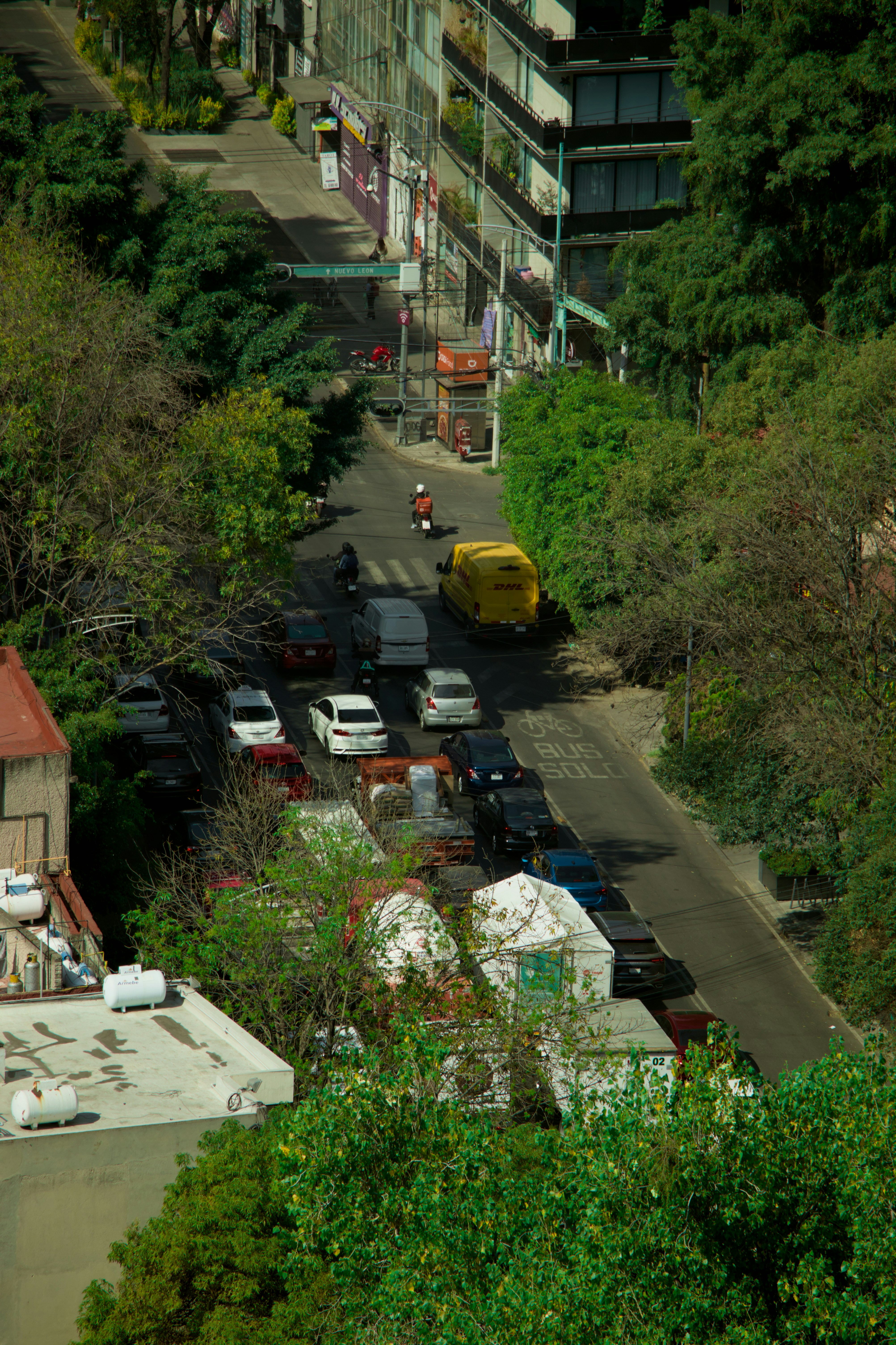 Una calle con coches aparcados y árboles verdes y frondosos.