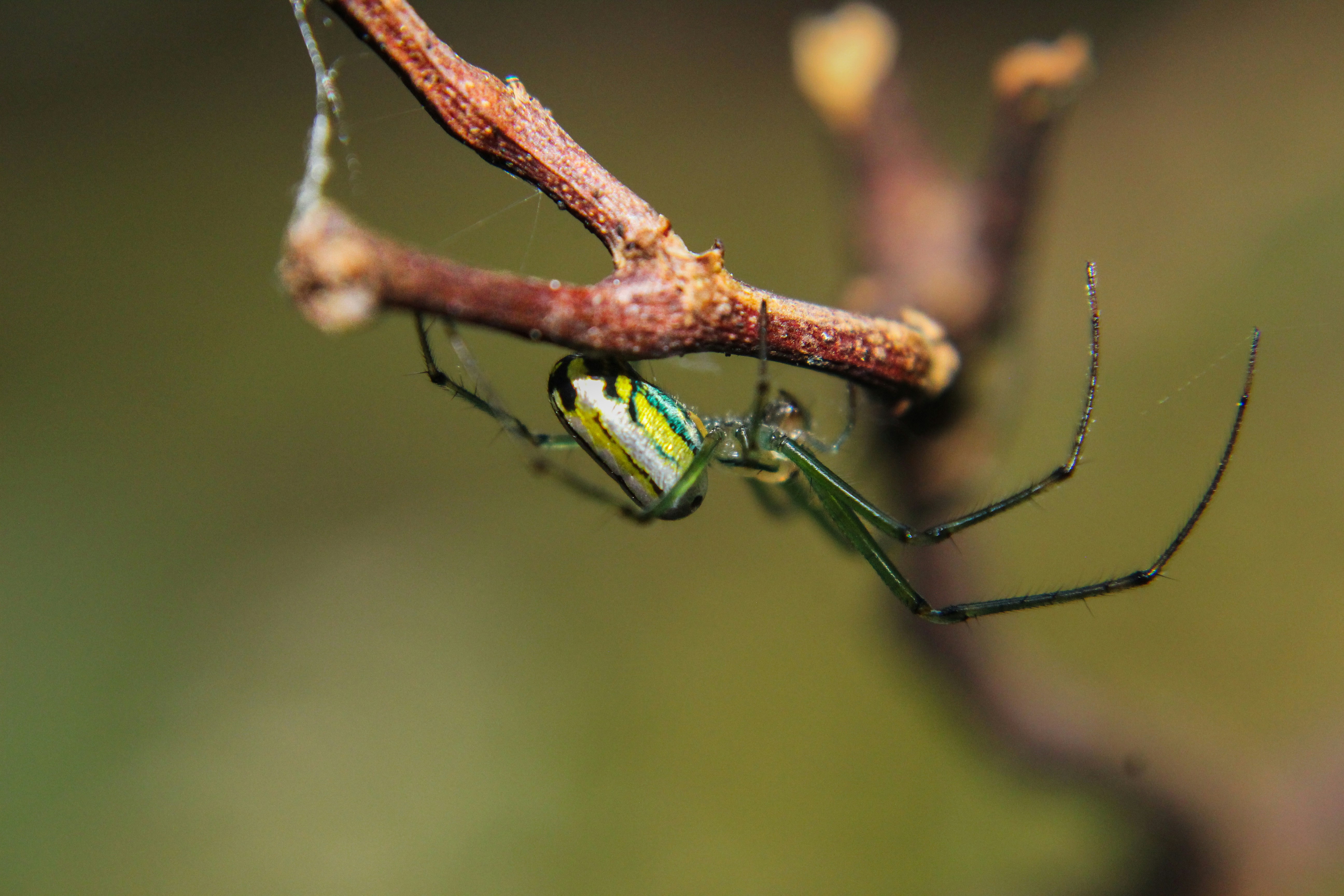 Photo by anjandhungana