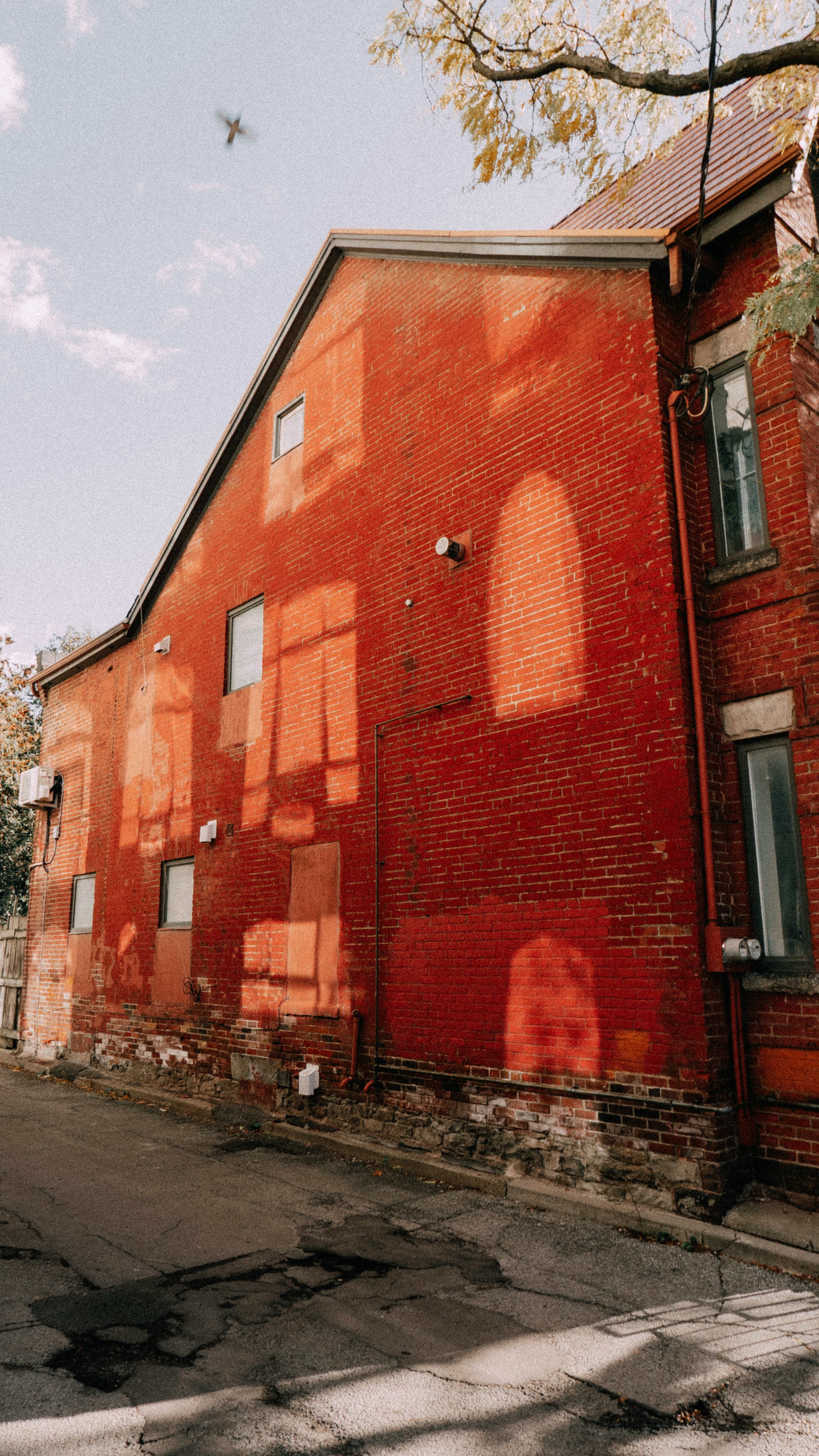 Edificio de ladrillo rojo con patrones de luz solar y un pájaro.