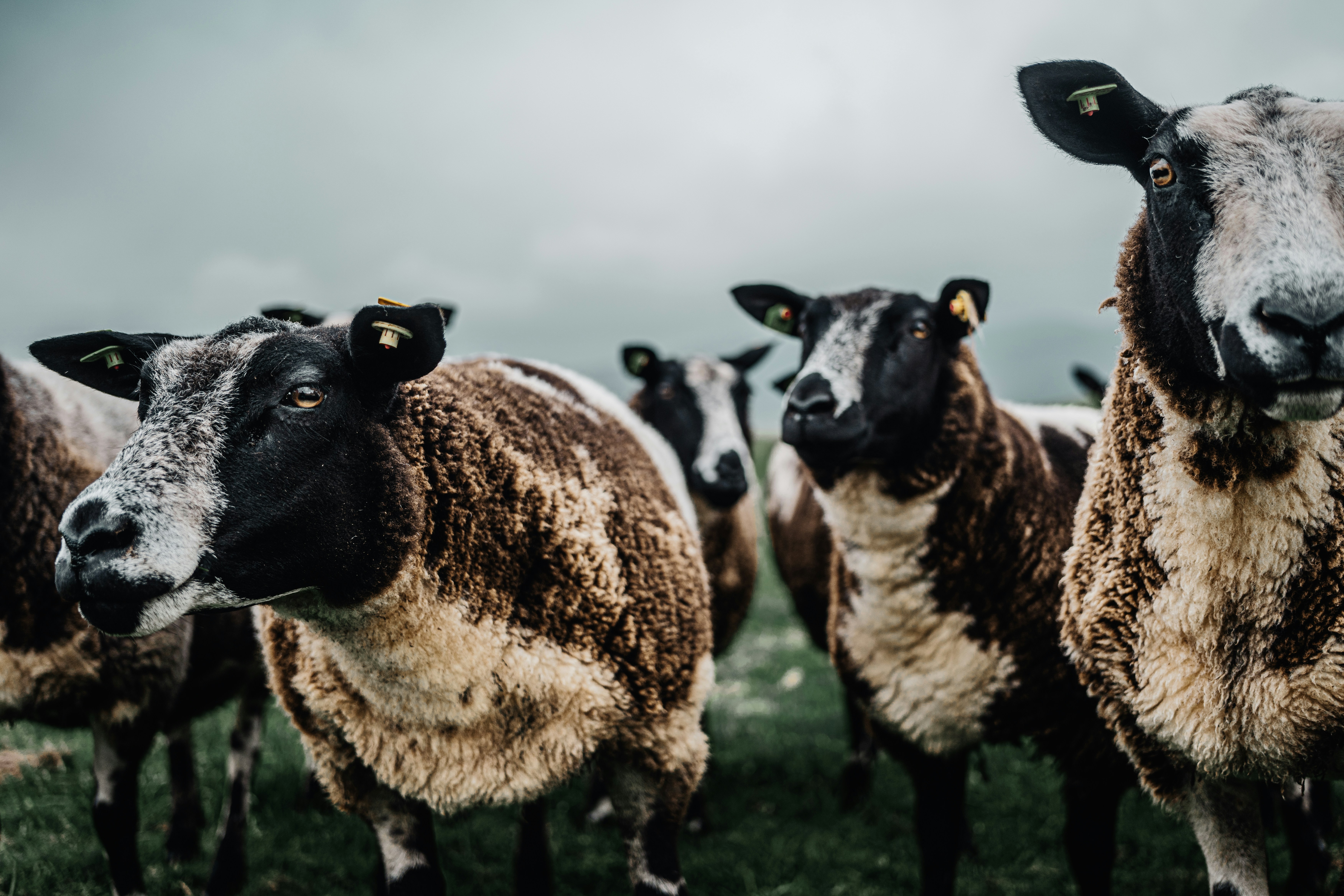 Photo by alexisnthere_