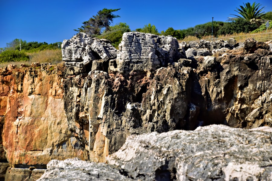 澎湖大果葉柱狀玄武岩