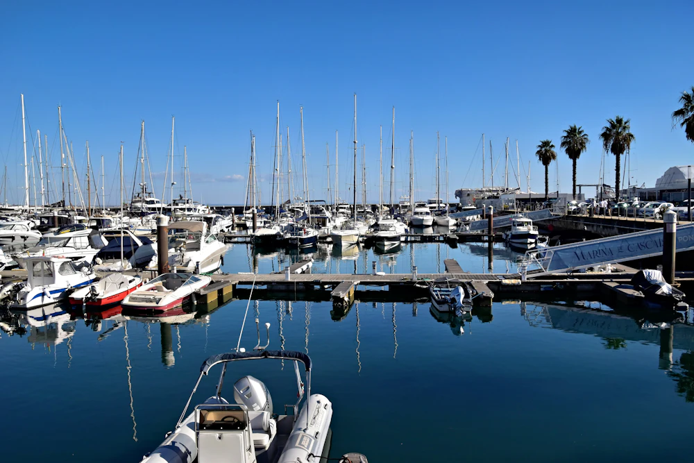 Marina filled with docked yachts and sailboats, similar to Nassau's marinas