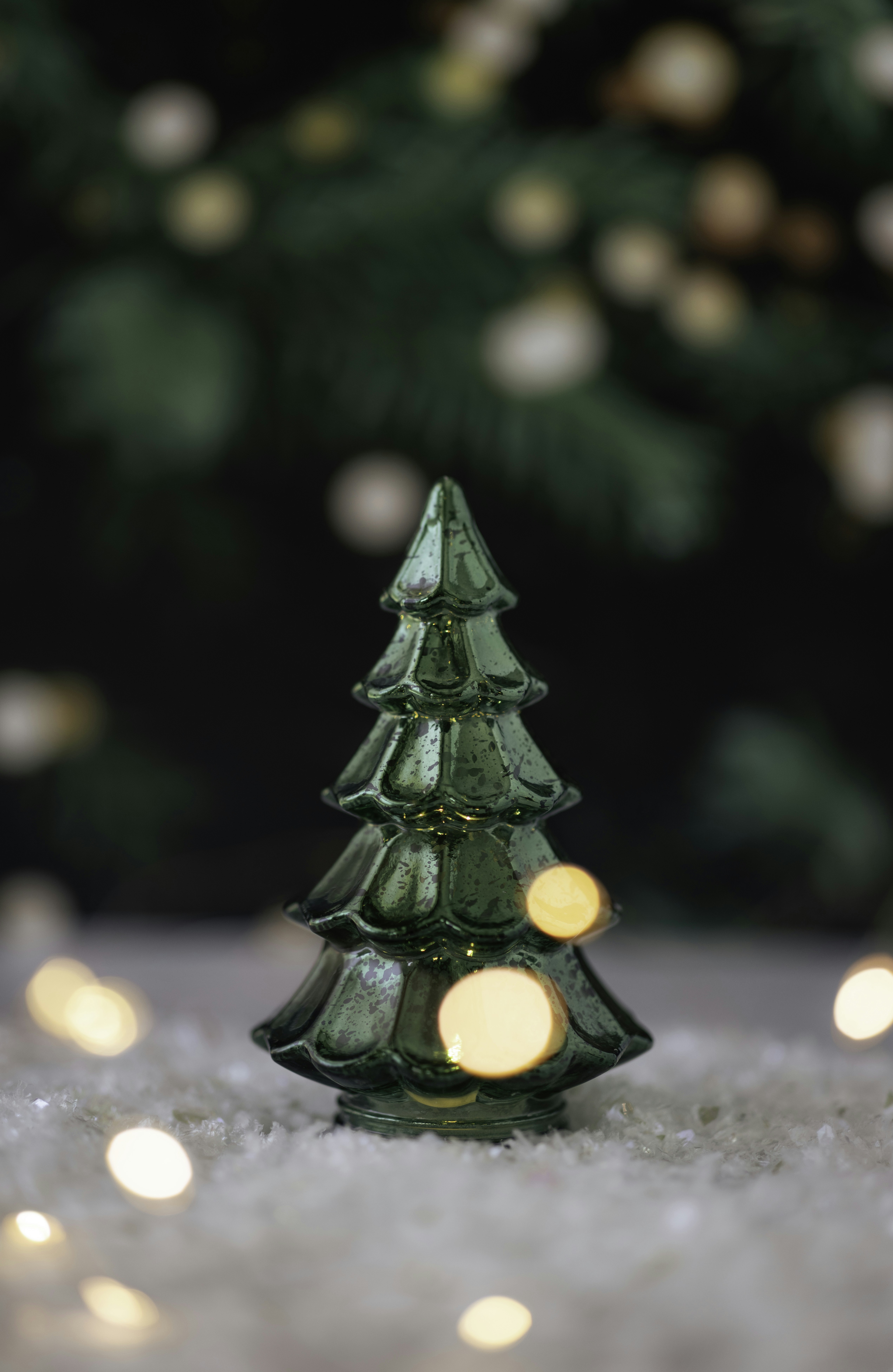 Photo by native7photo