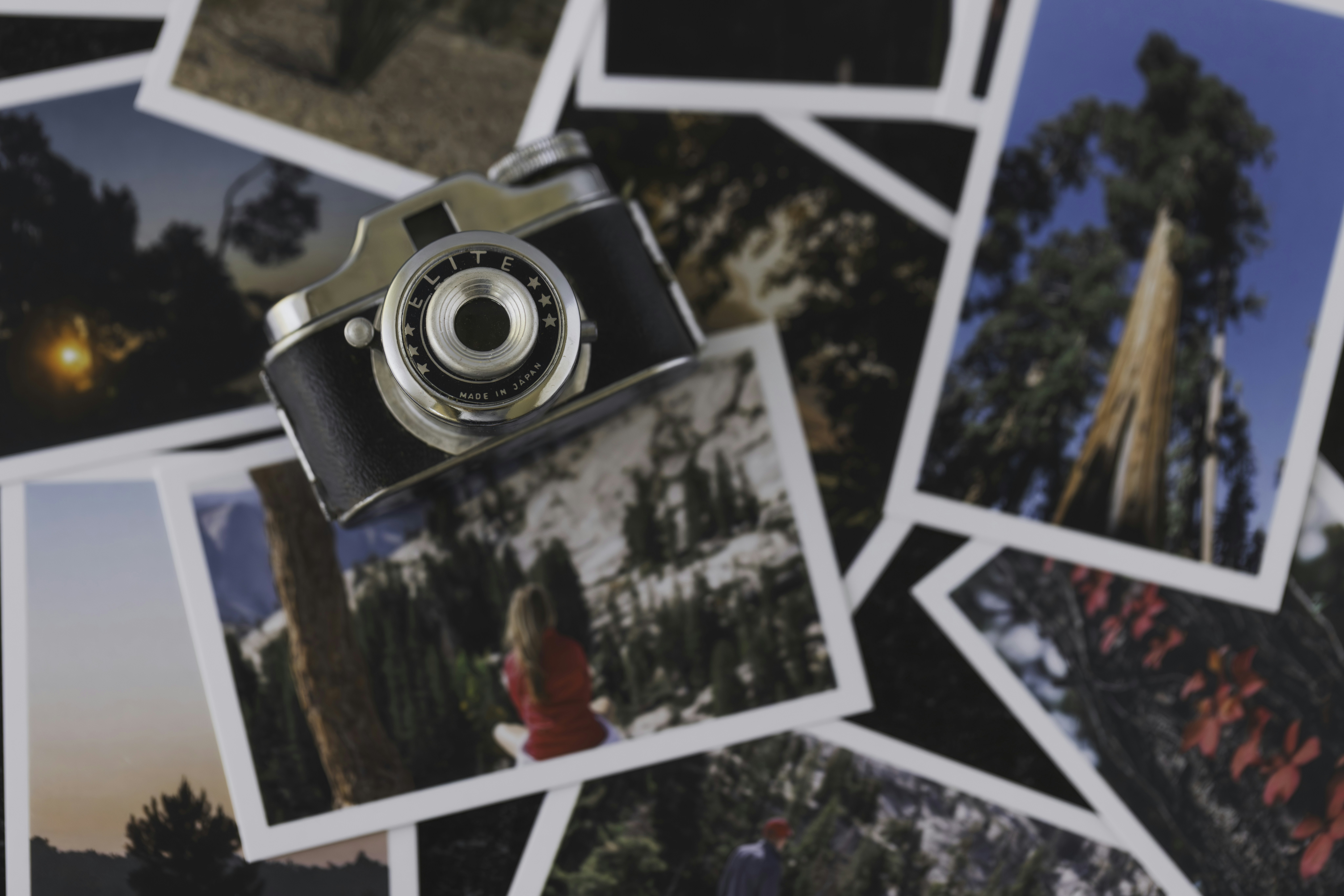 Photo by native7photo