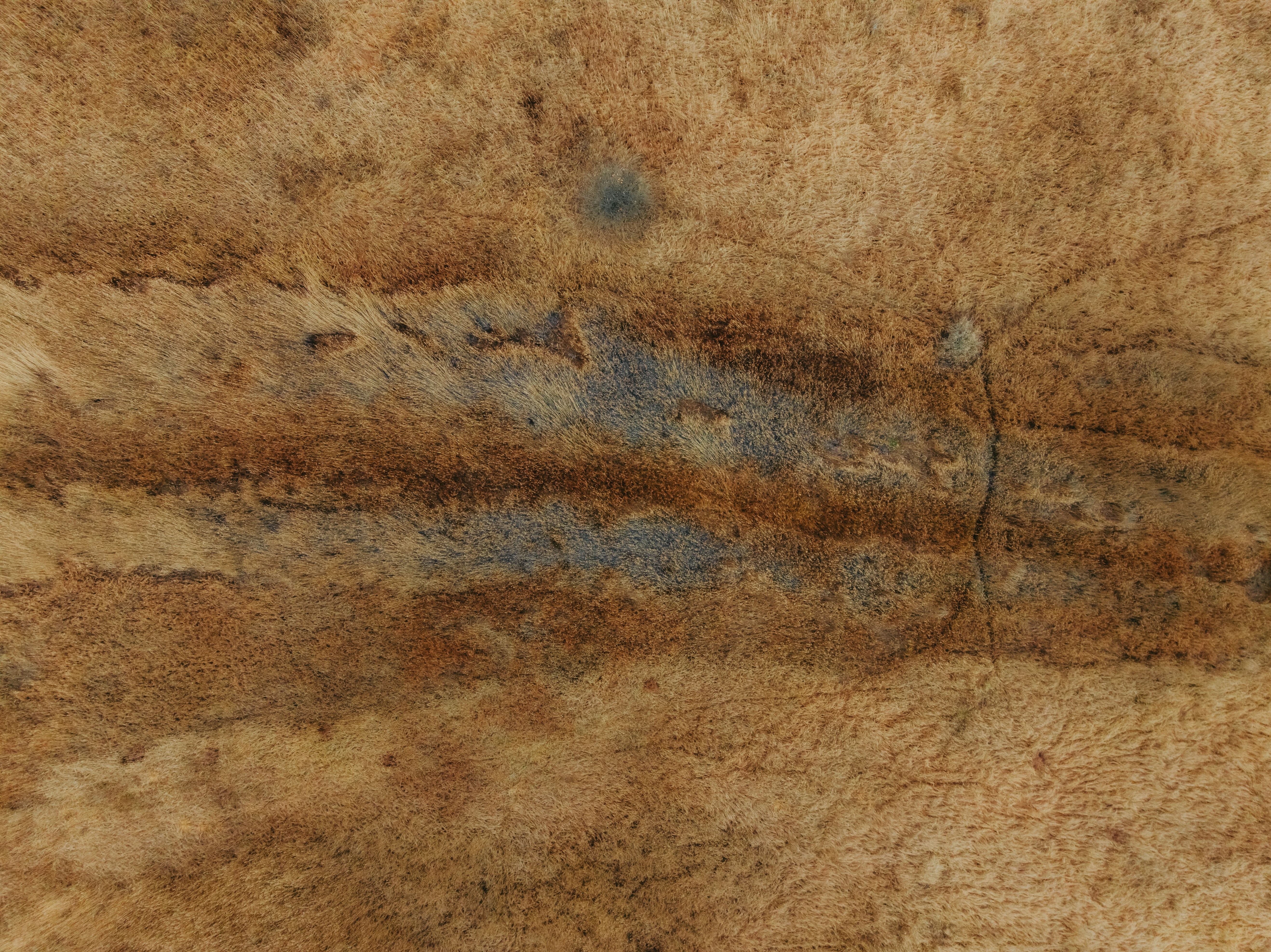 Photo by kristapsungurs