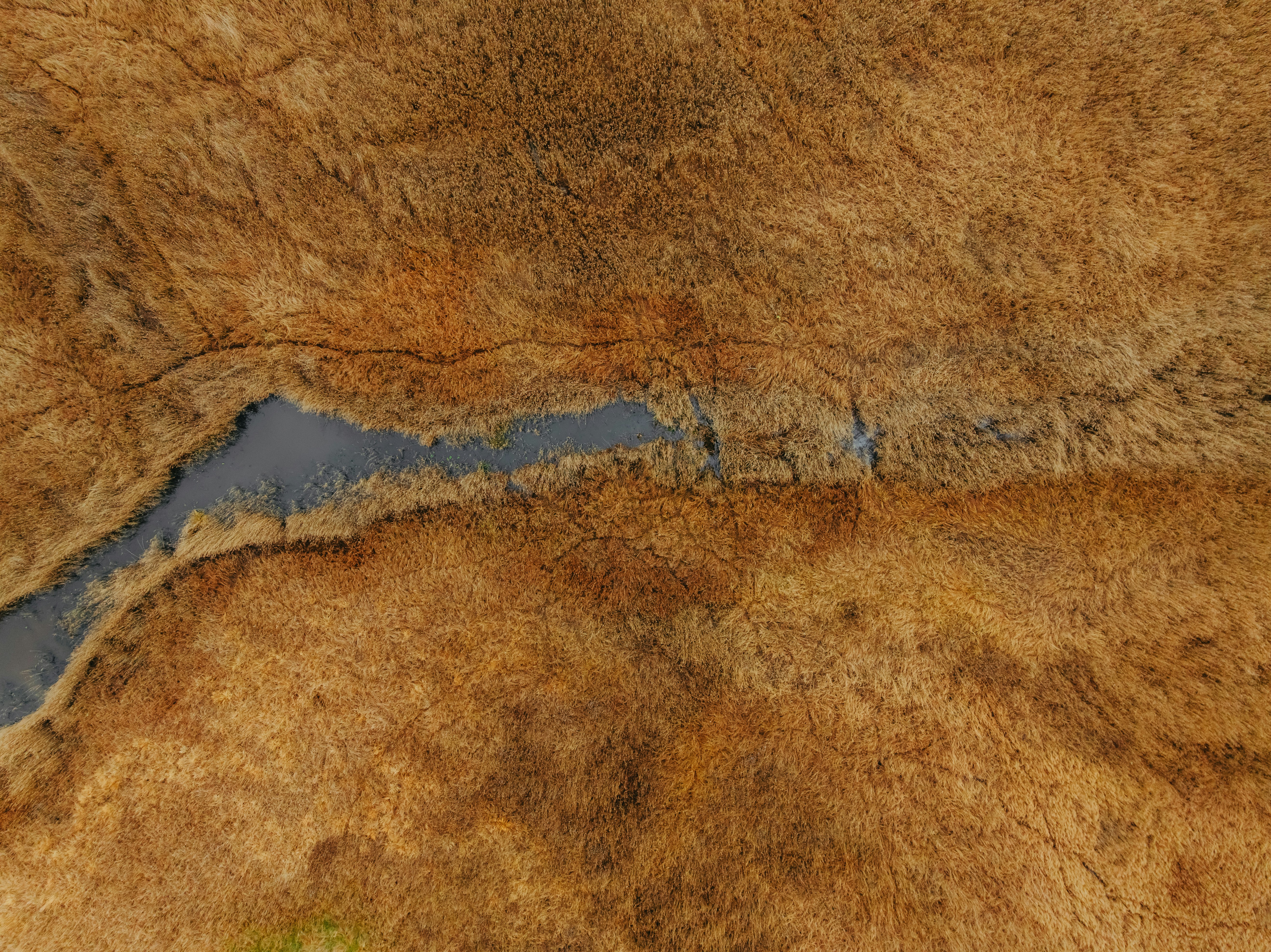 Kıbrıs'ta Su Sorunları