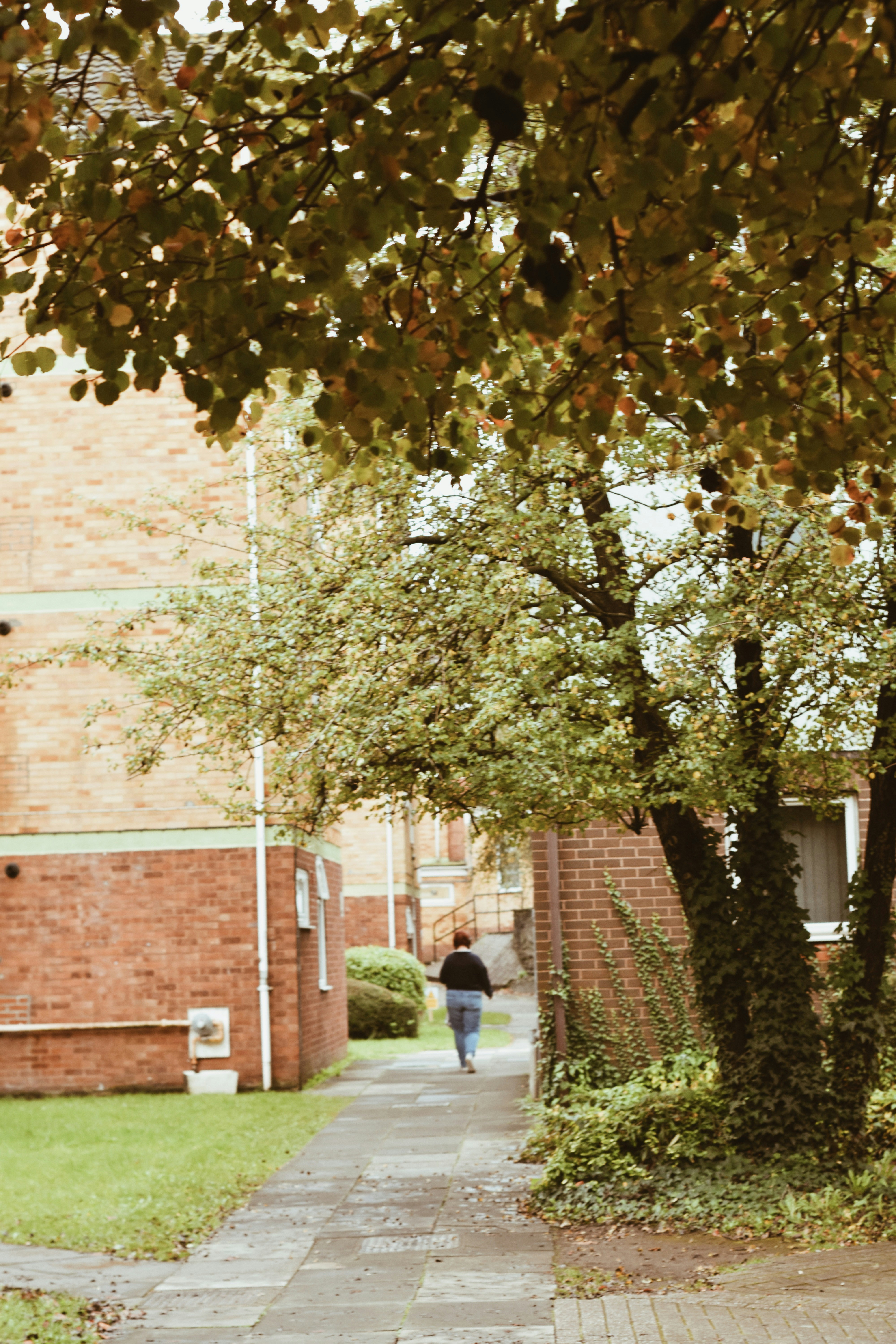 Photo by iyinoluwaonaeko